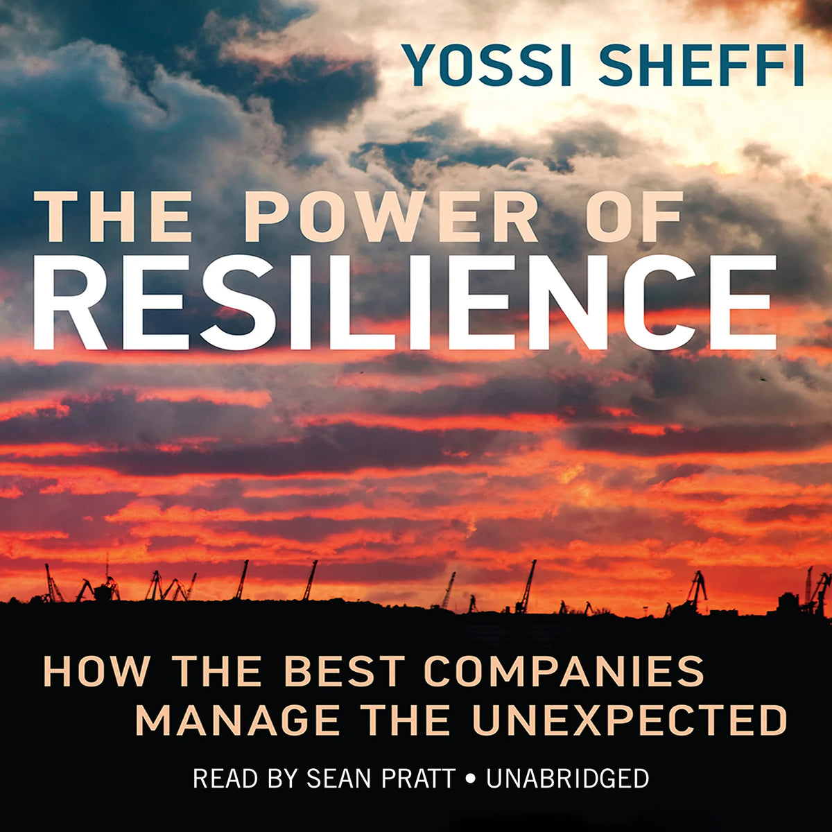 The Power Resilience