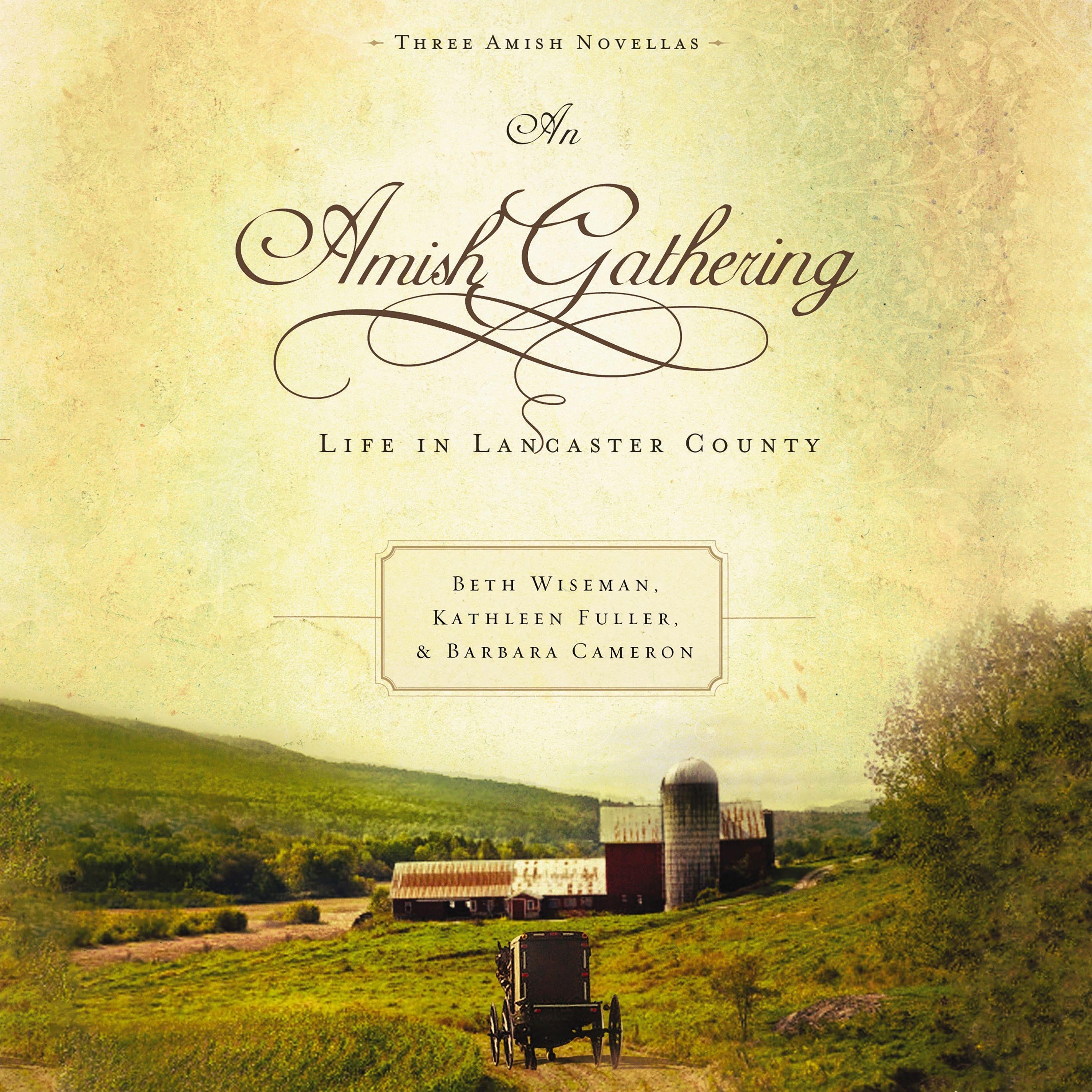 An Amish Gathering