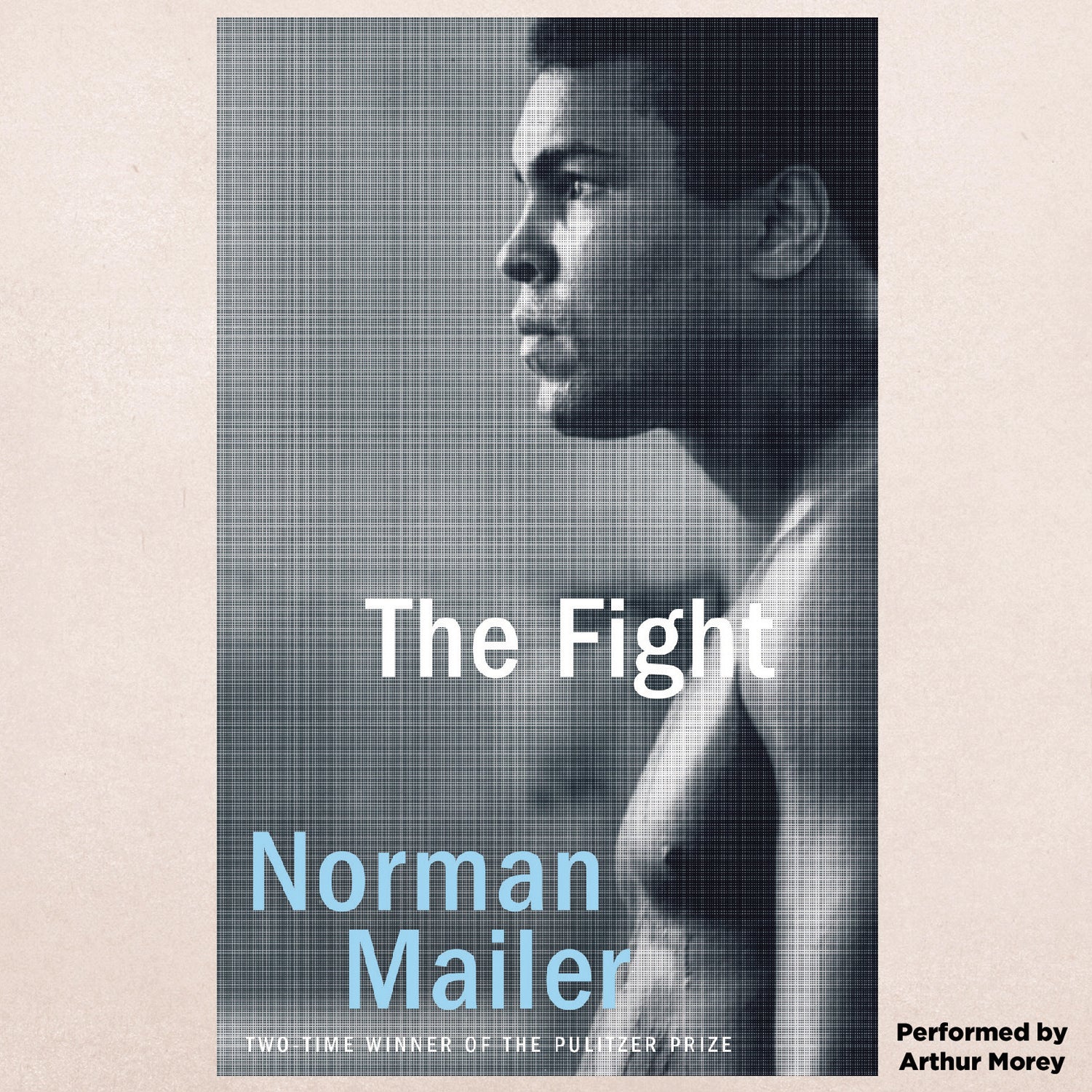 The Fight
