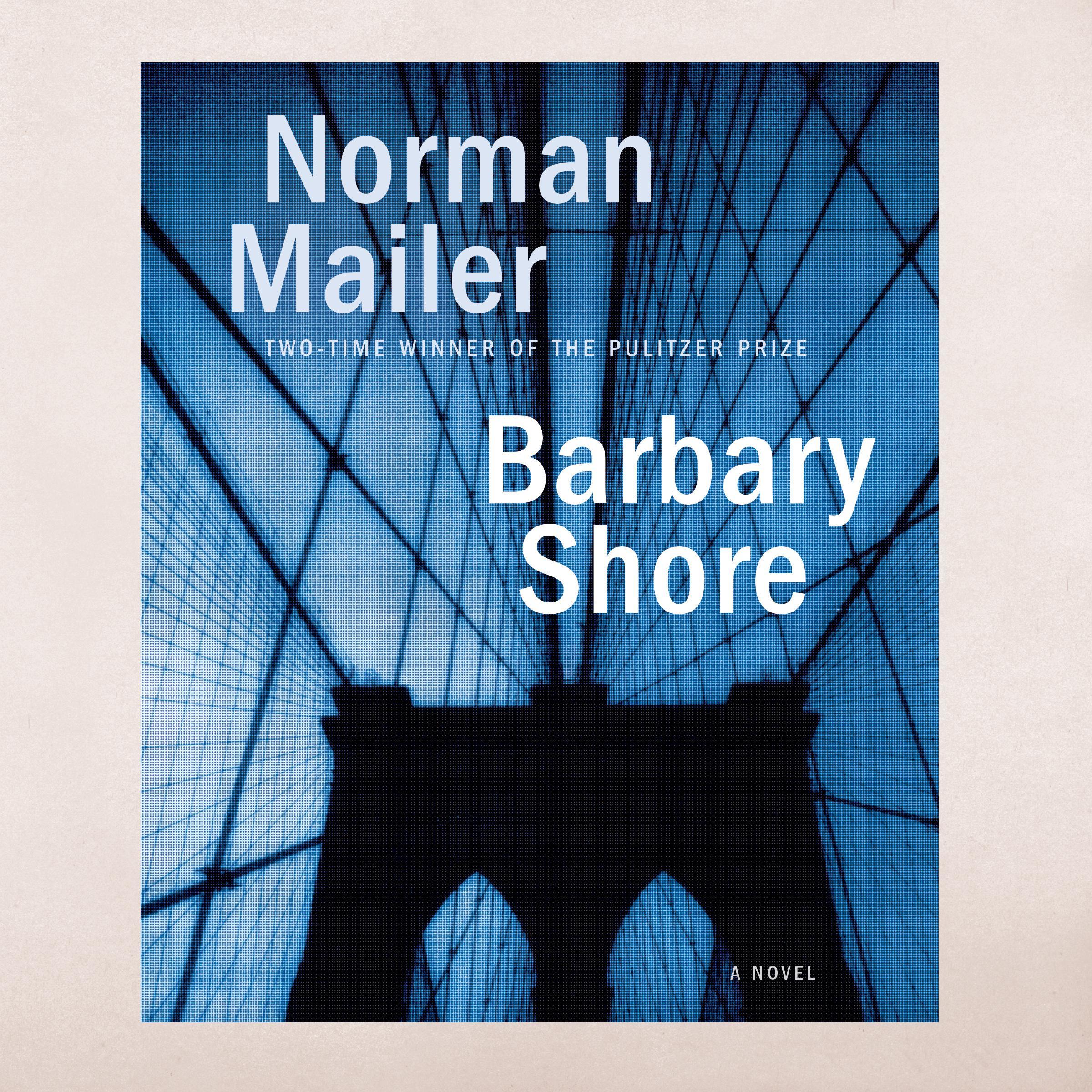 Barbary Shore