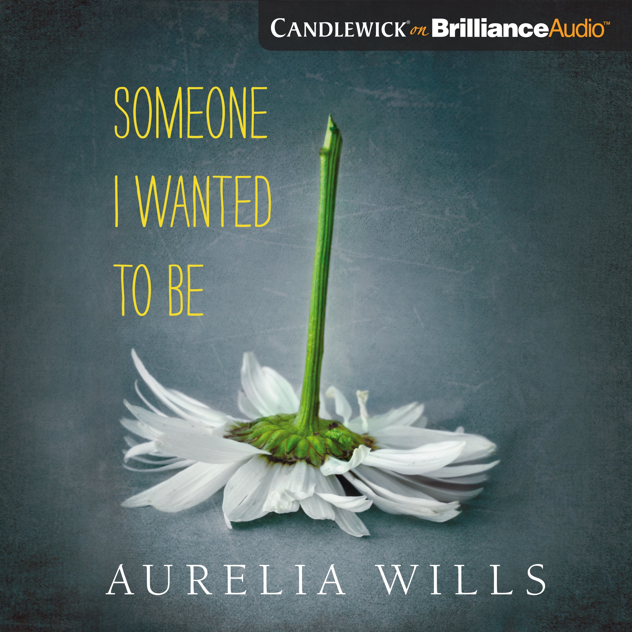Someone I Wanted to Be