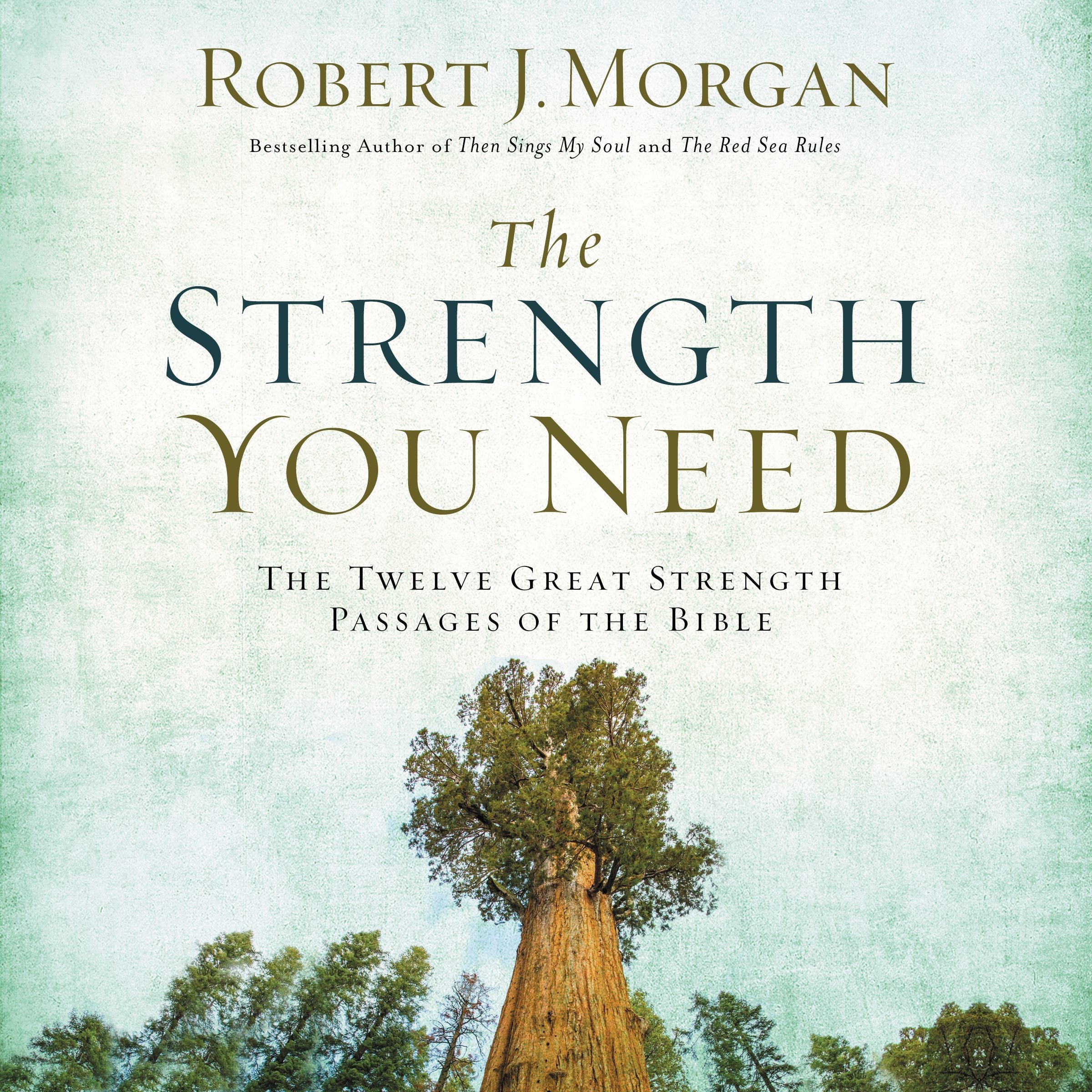 The Strength You Need
