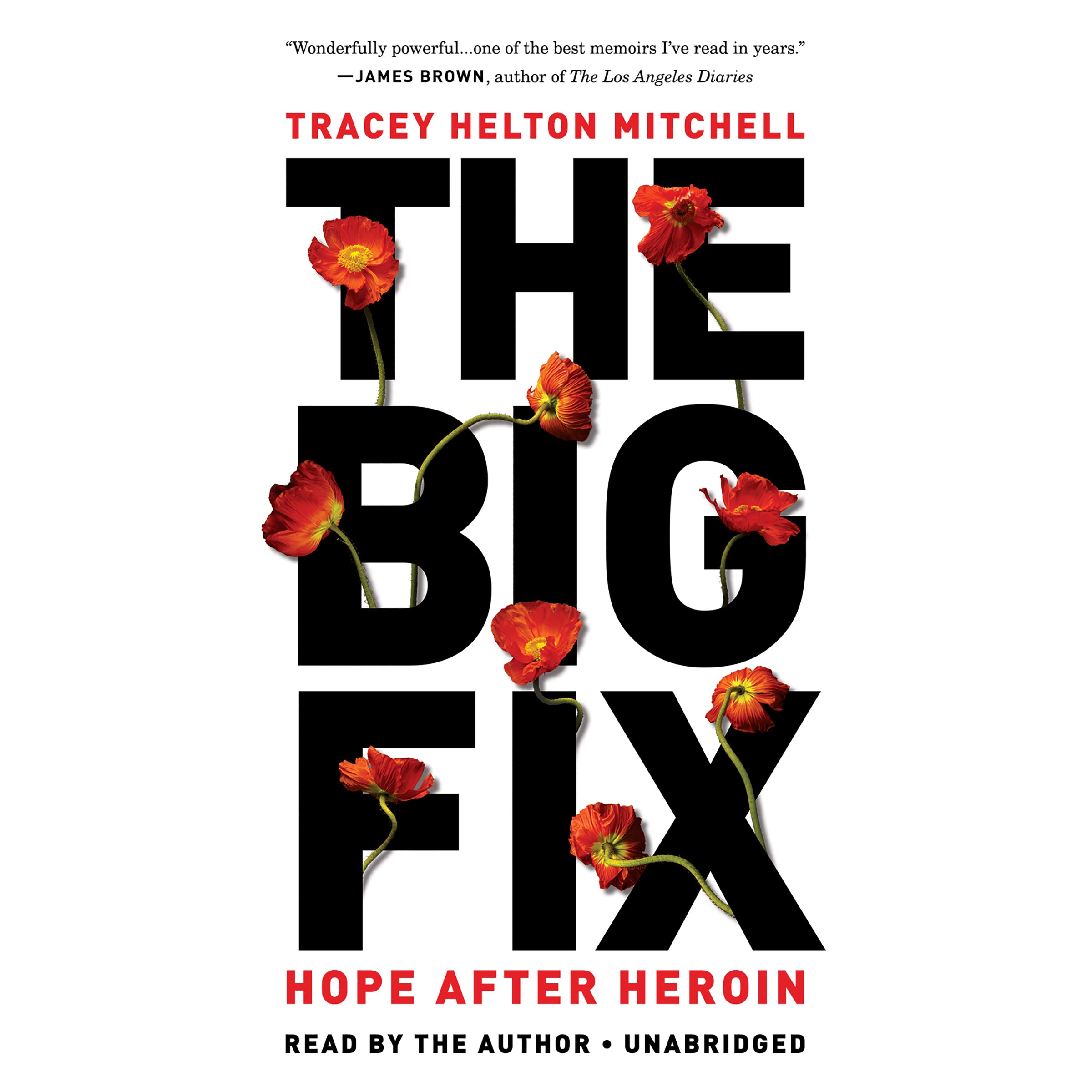 The Big Fix