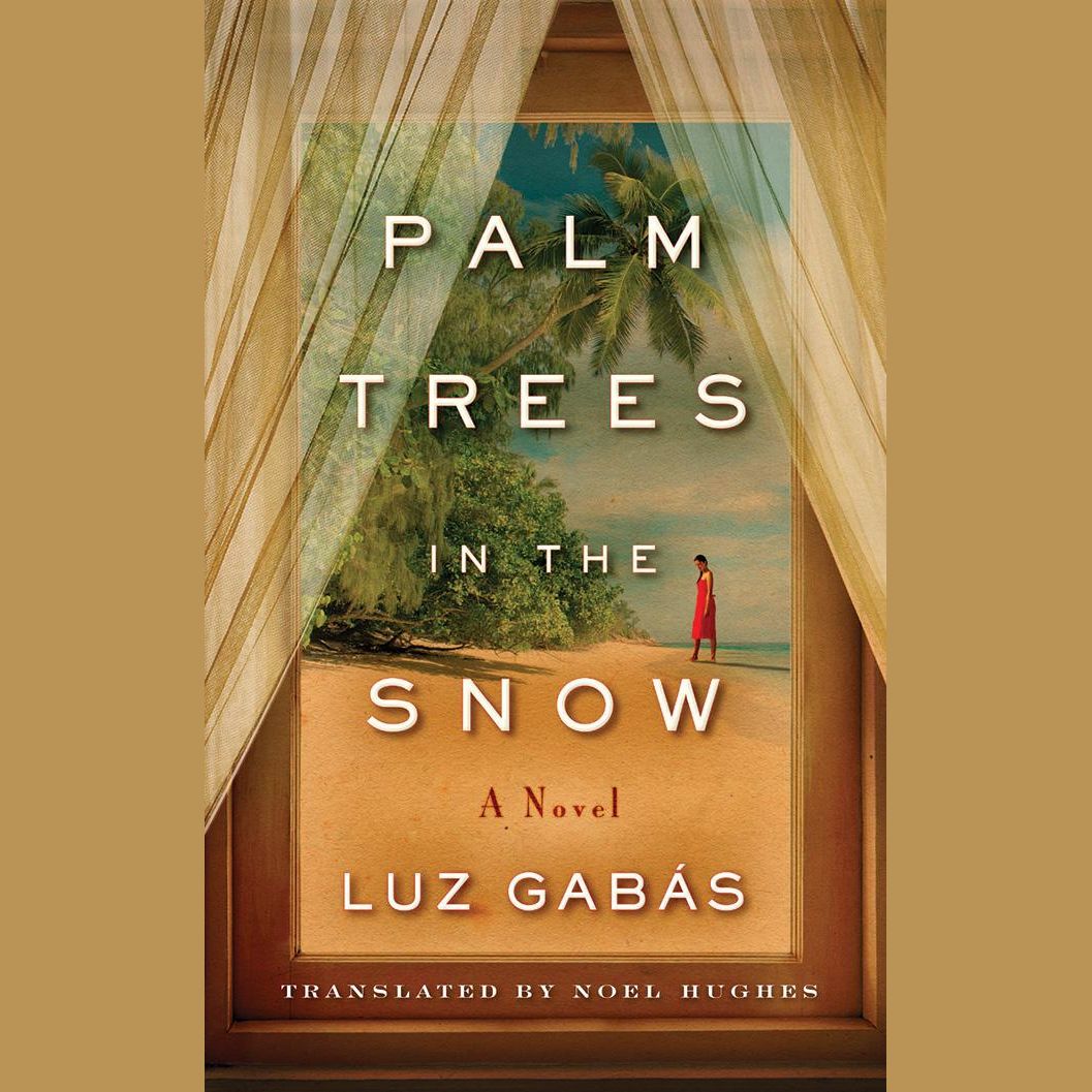 Palm Trees in the Snow