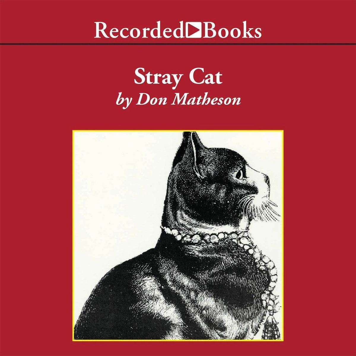 Stray Cat
