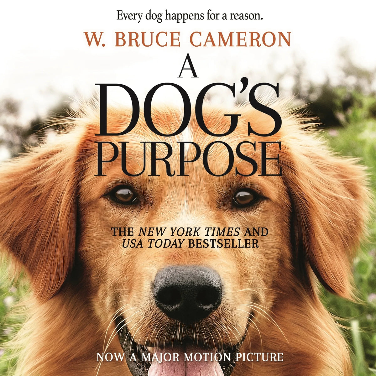 A Dog's Purpose