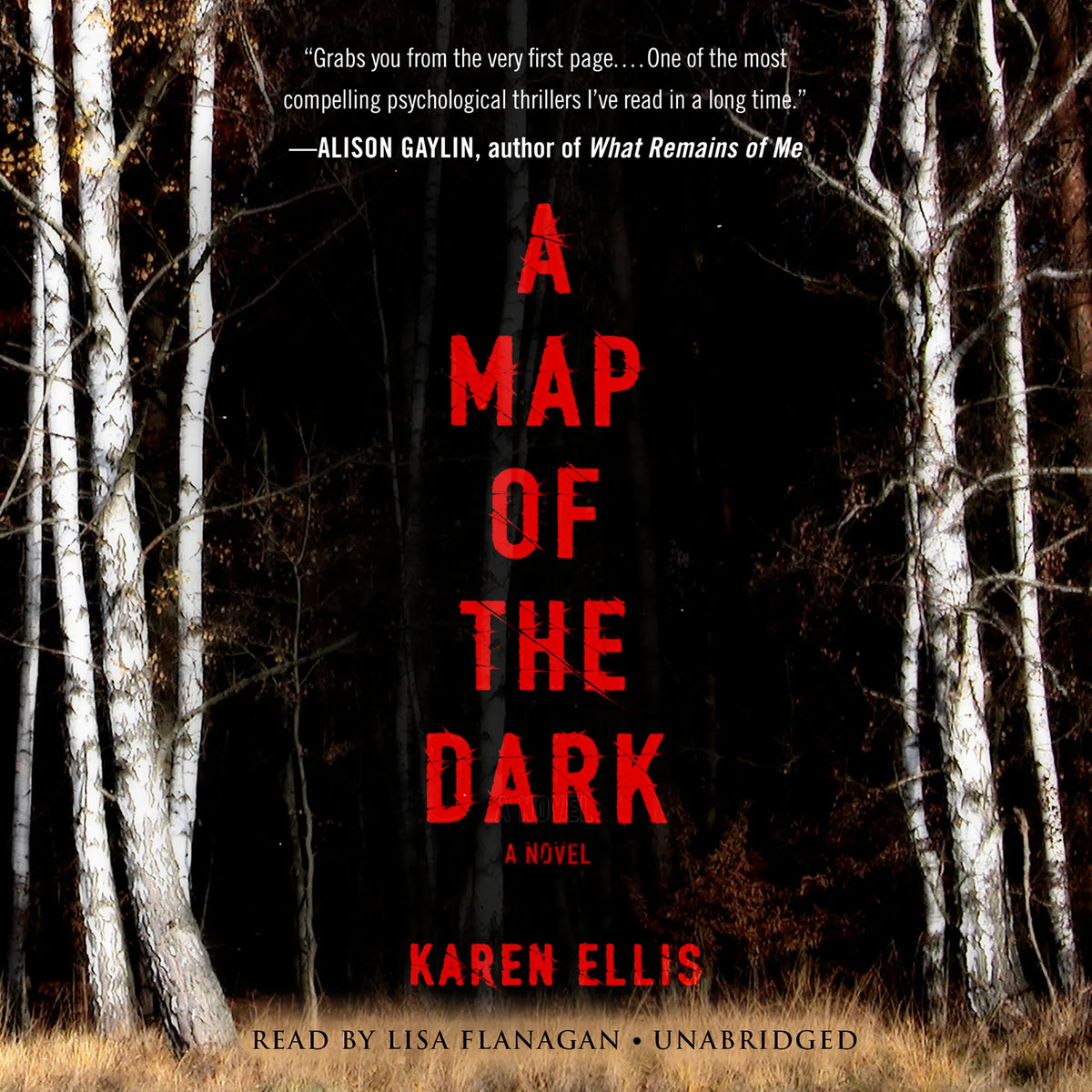 A Map of the Dark