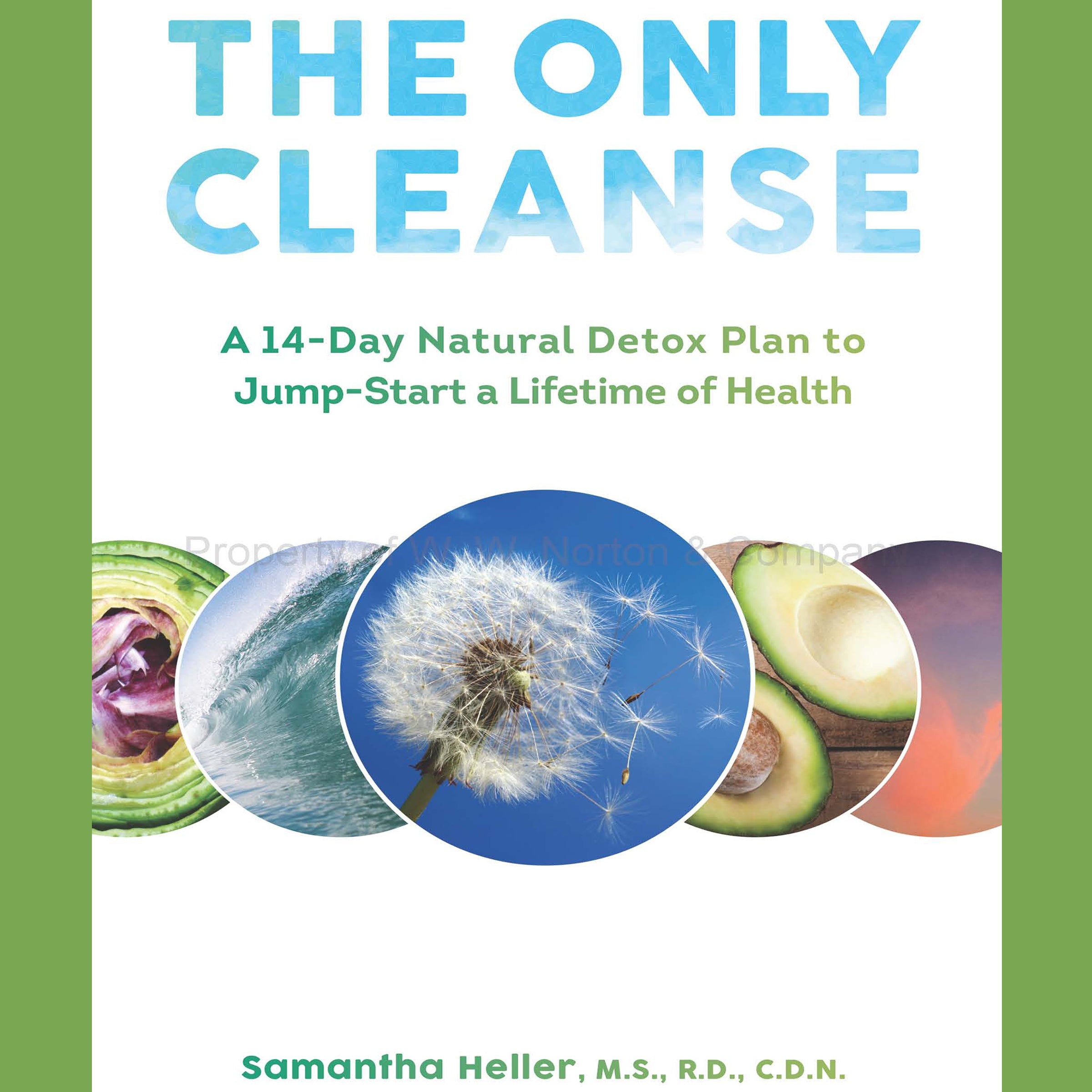 The Only Cleanse