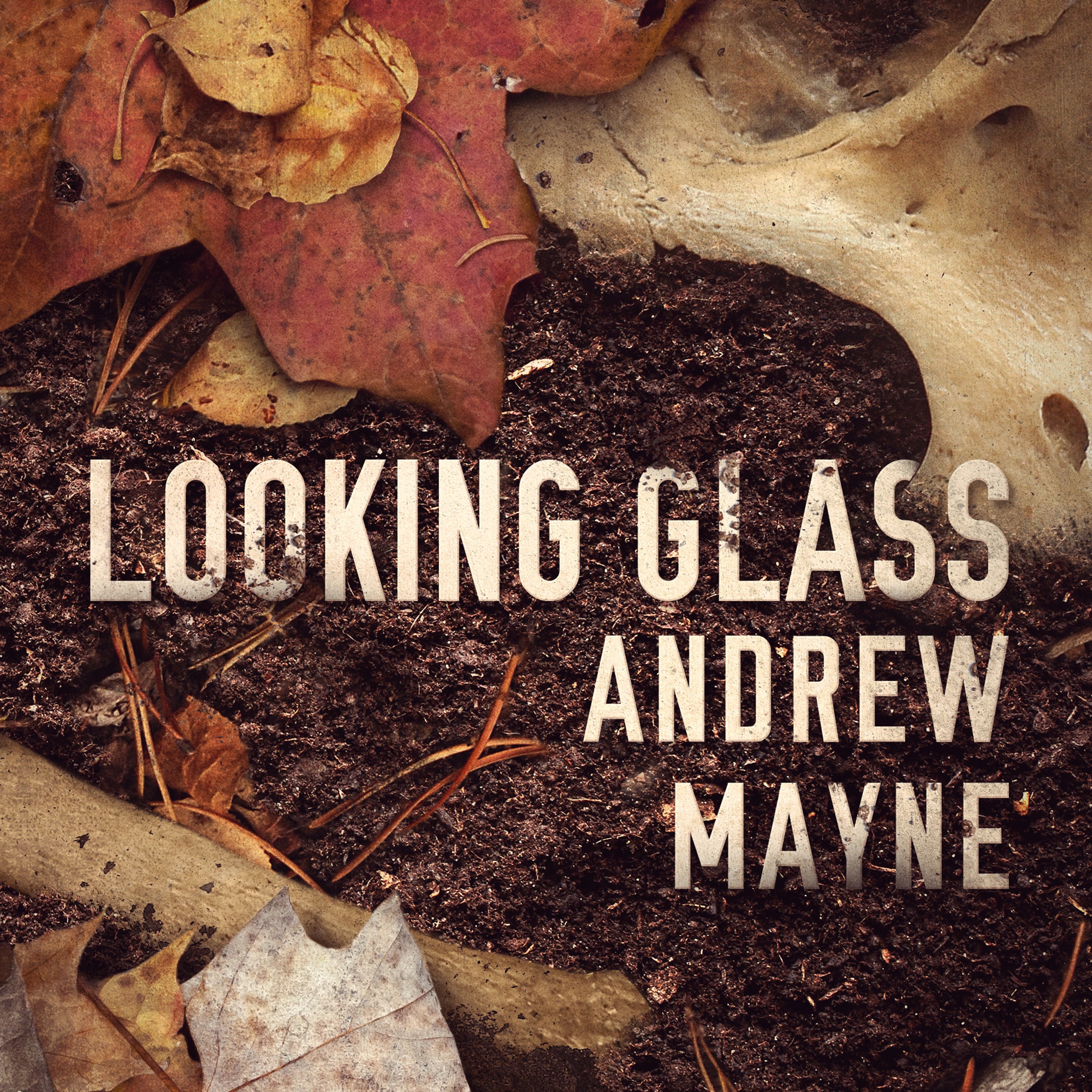 Looking Glass