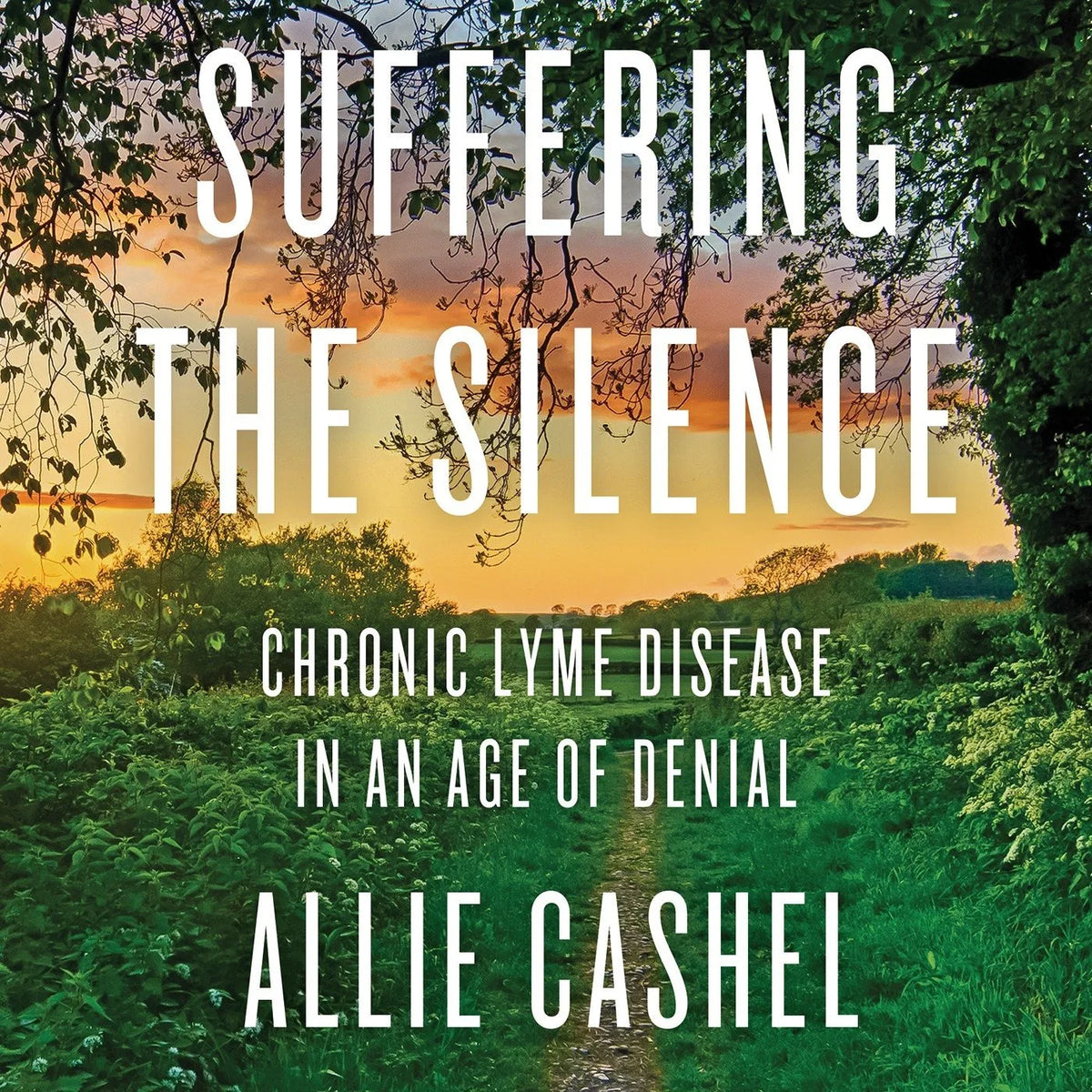 Suffering the Silence