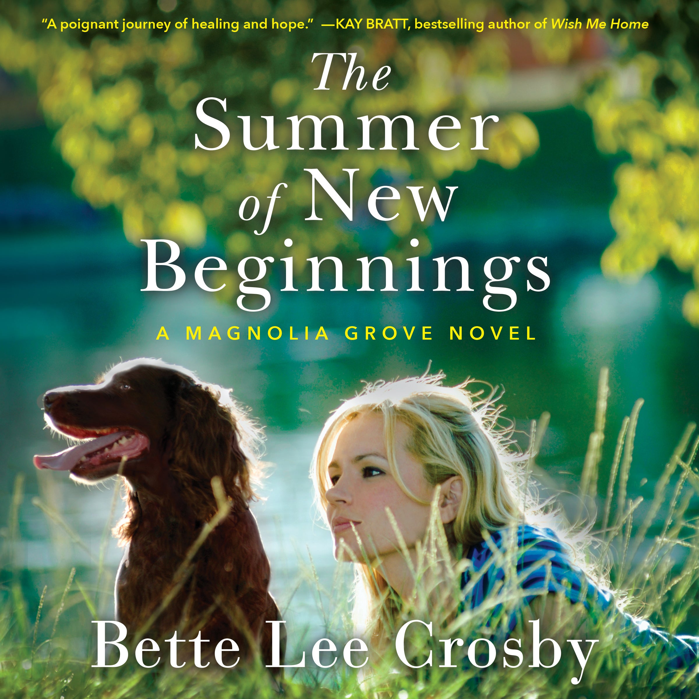 The Summer of New Beginnings