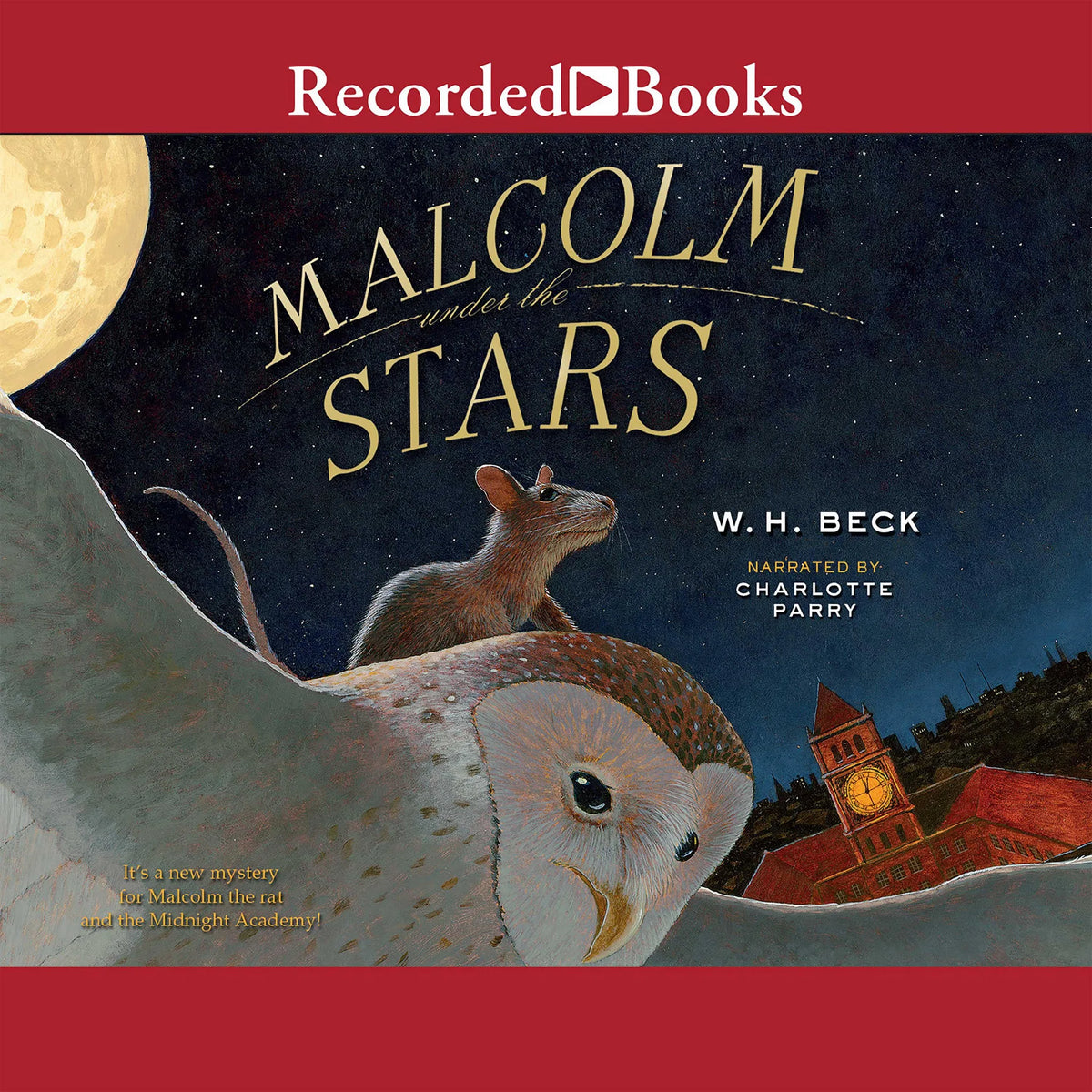 Malcolm Under the Stars