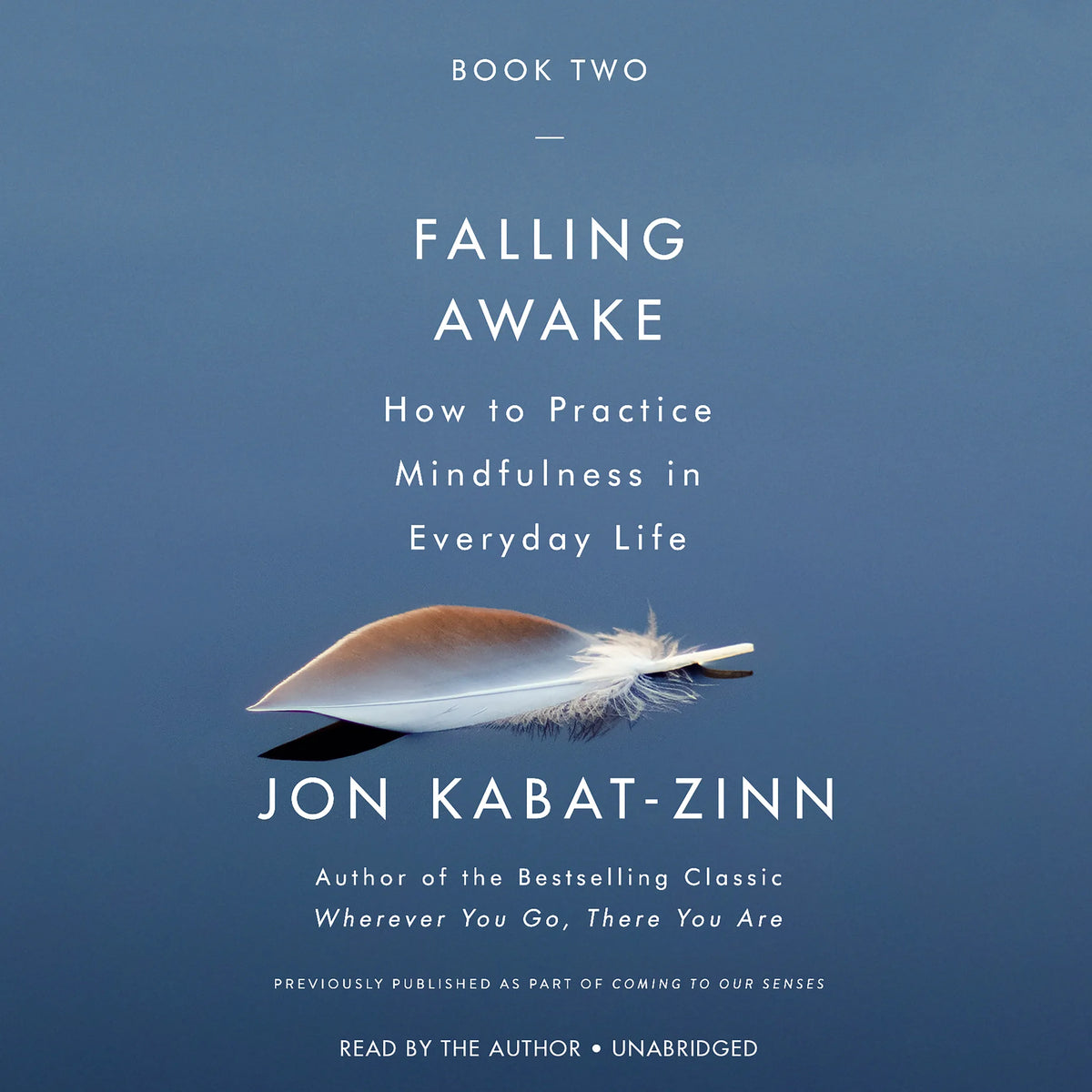 Falling Awake