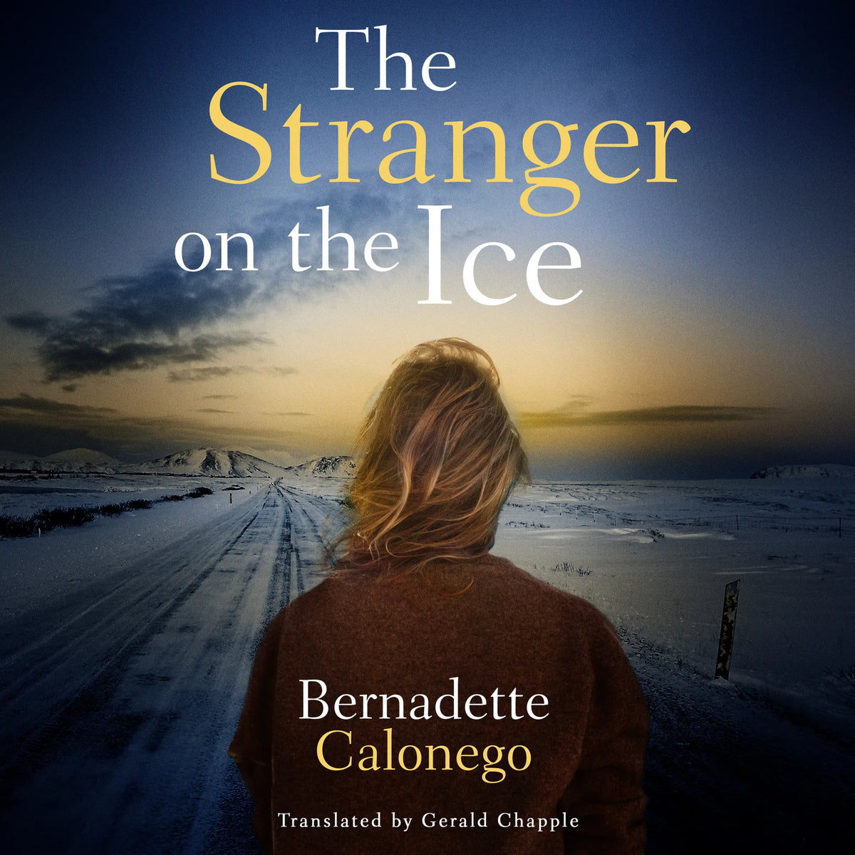 The Stranger on the Ice
