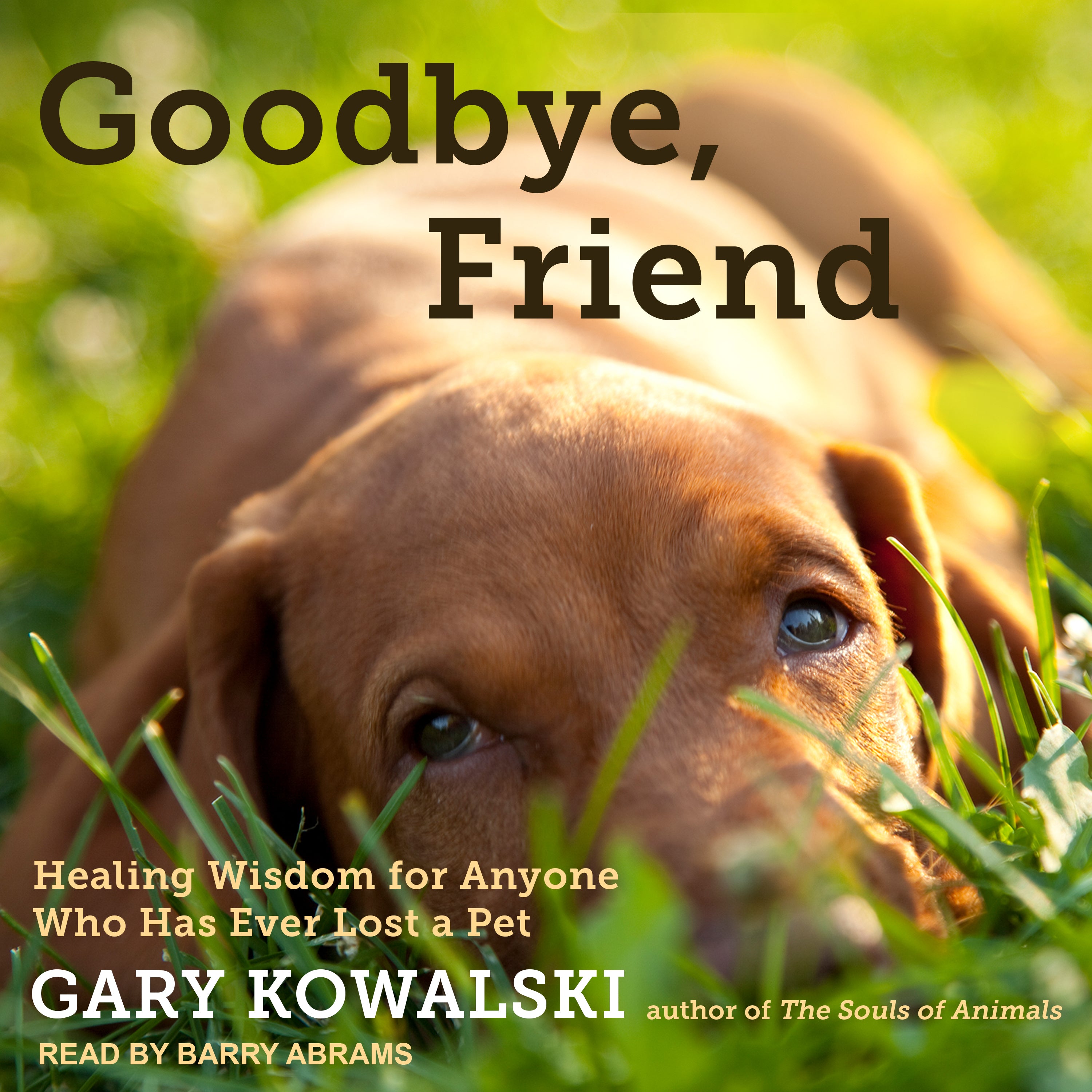 Goodbye, Friend