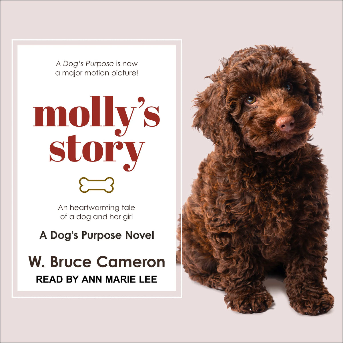 Molly’s Story