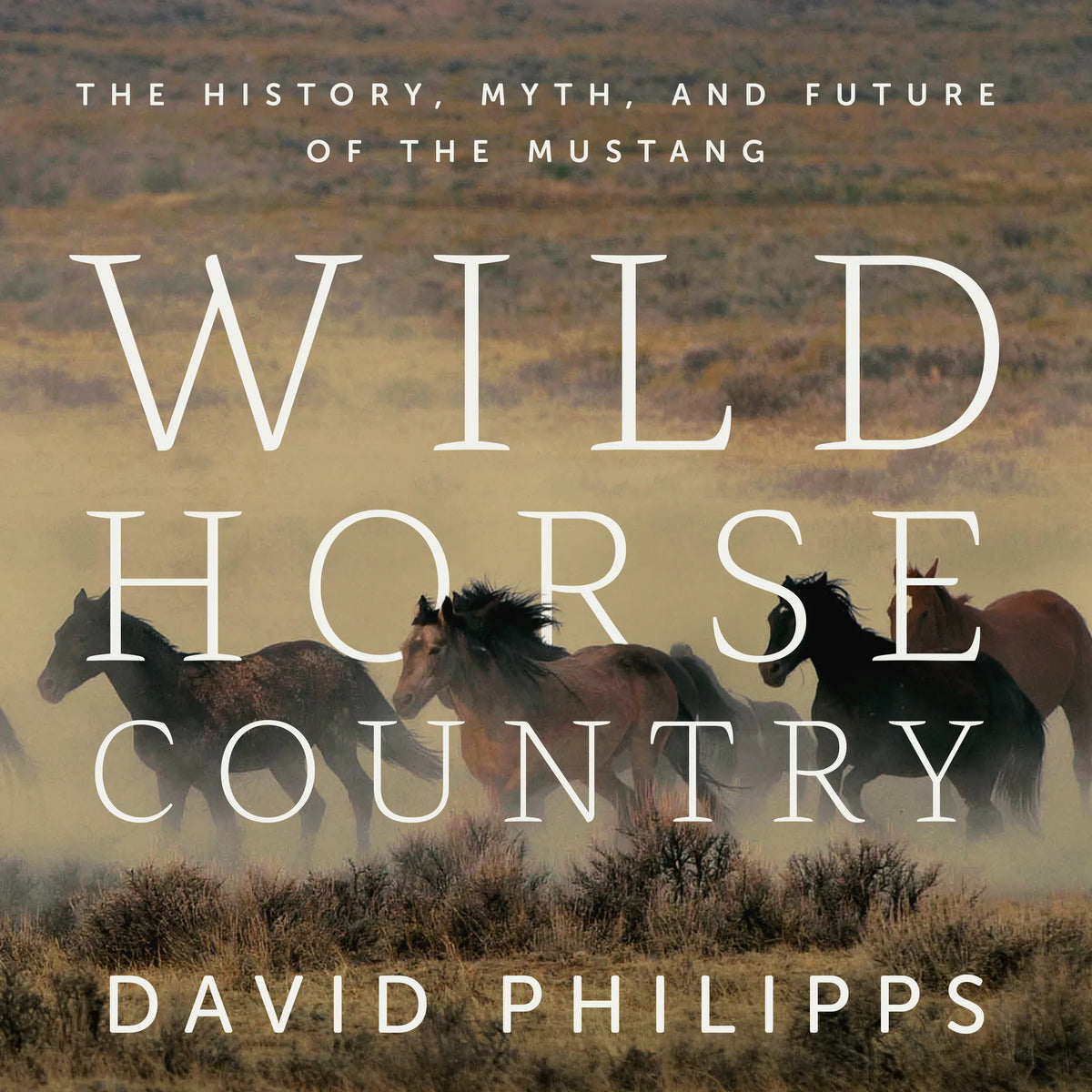 Wild Horse Country