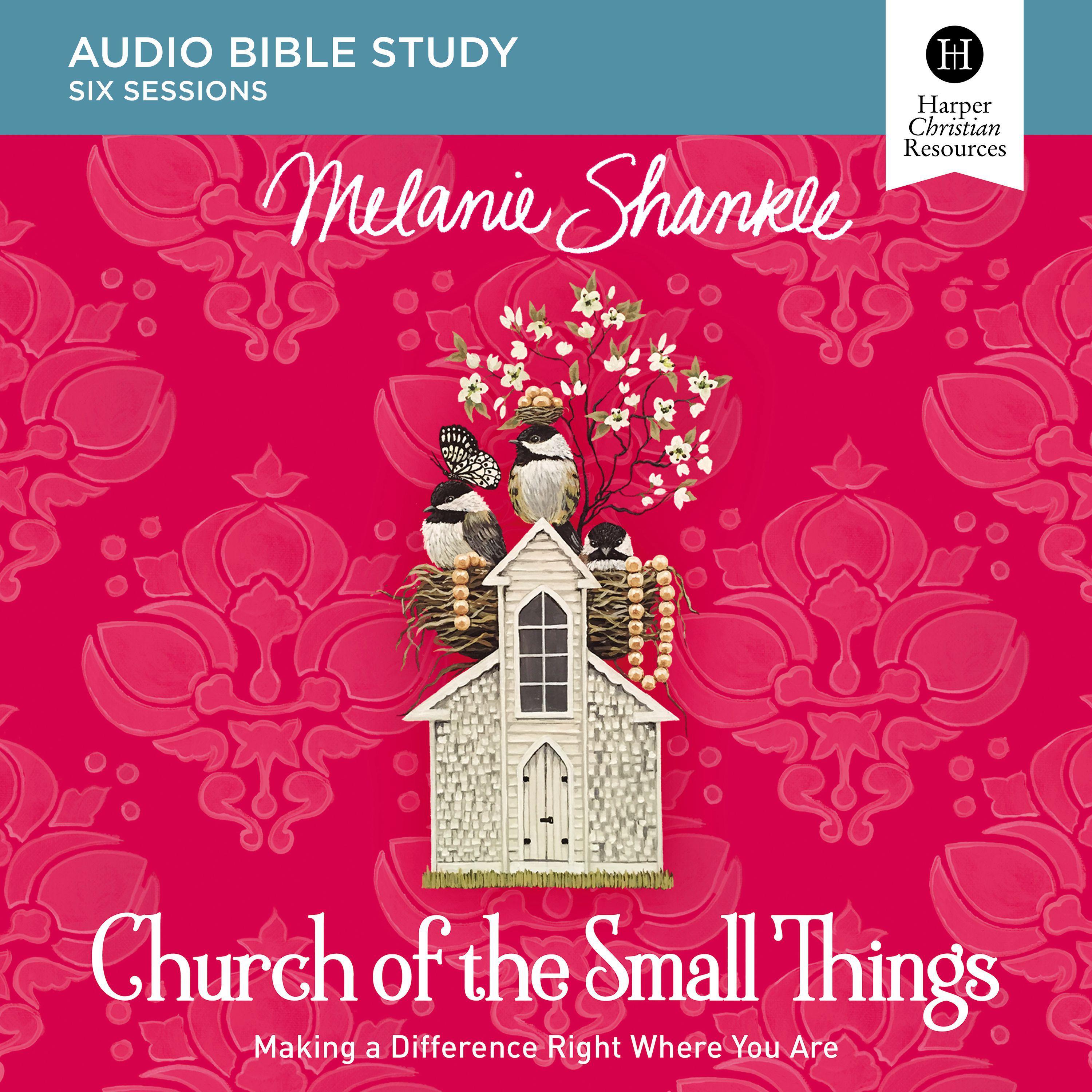 Church of the Small Things: Audio Bible Studies