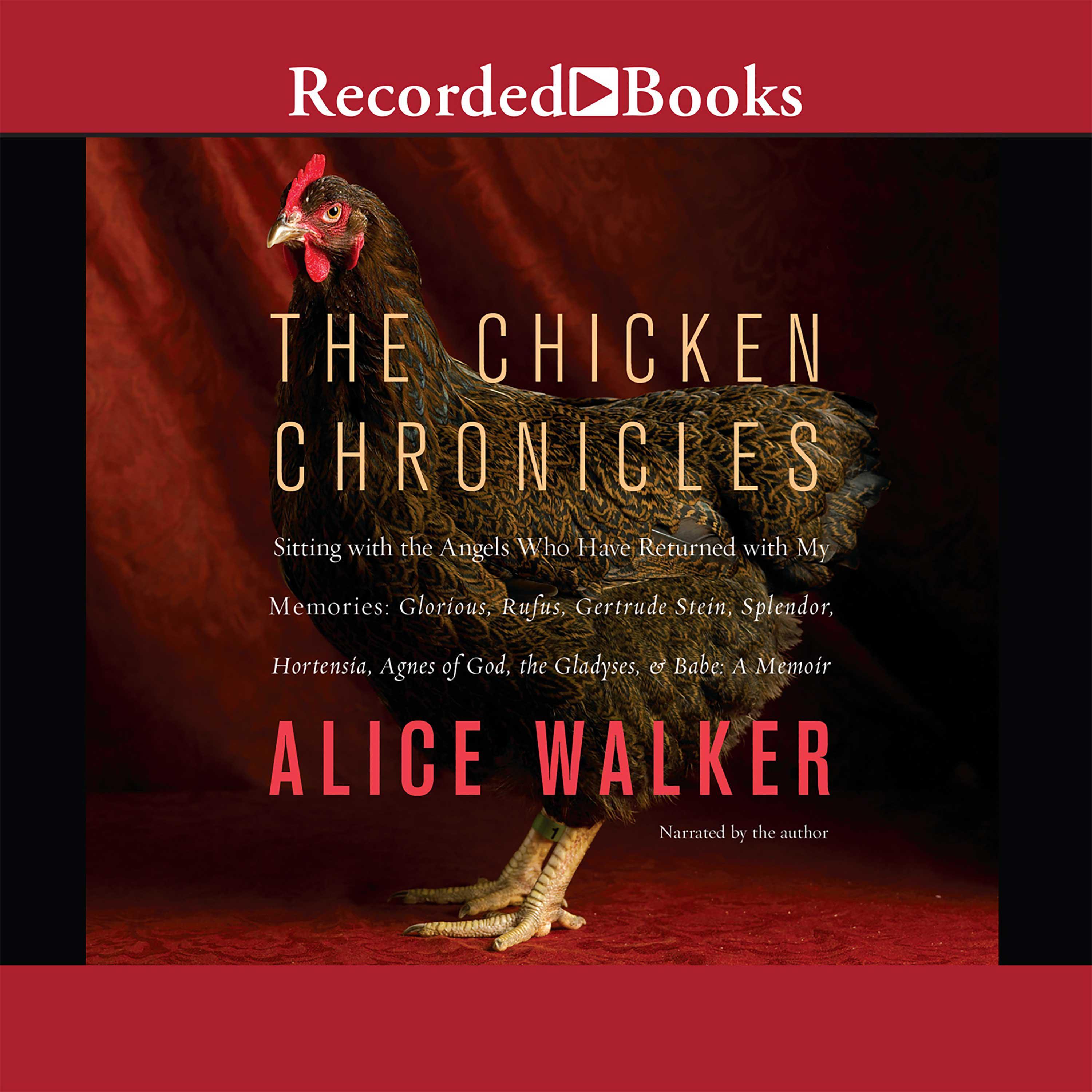 The Chicken Chronicles