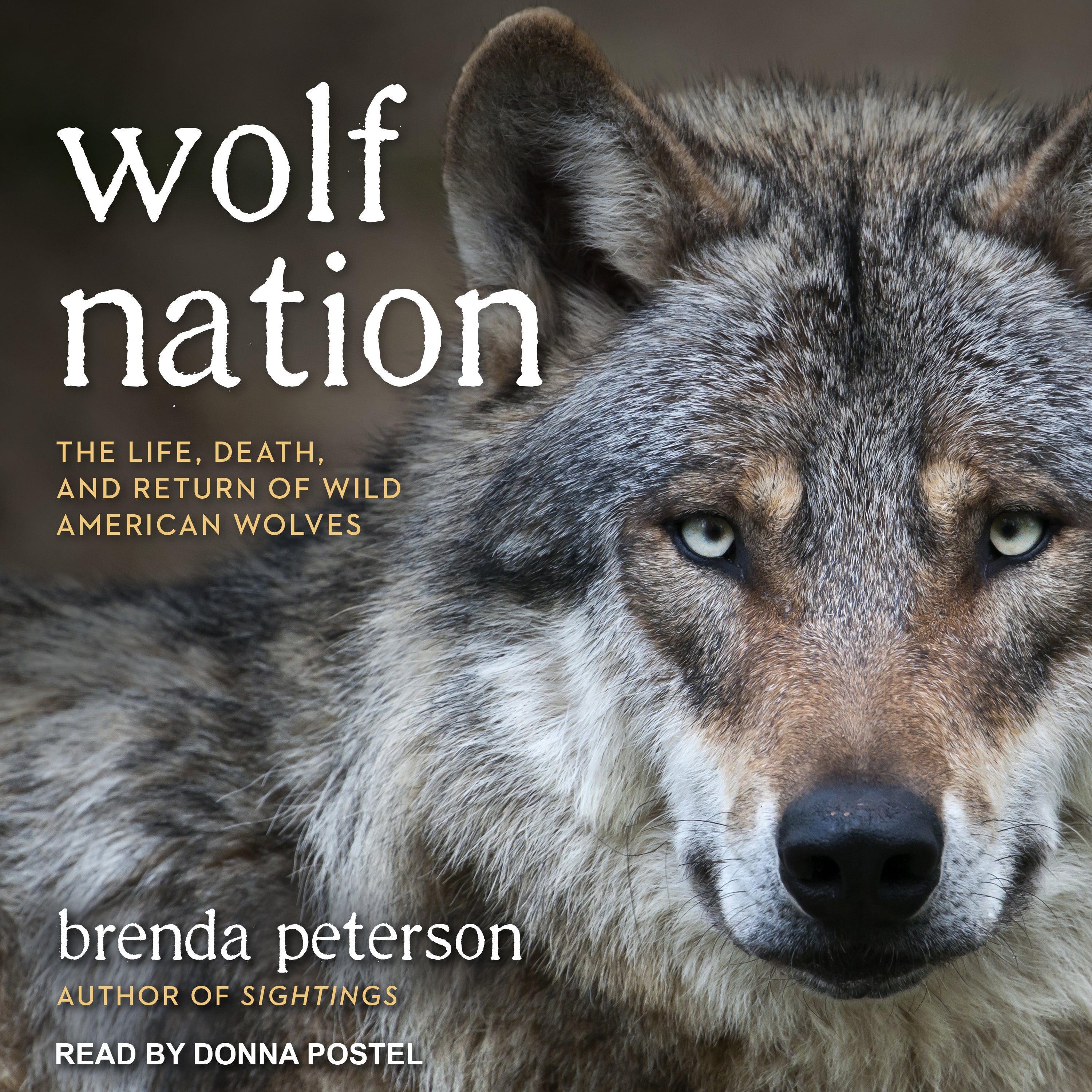 Wolf Nation