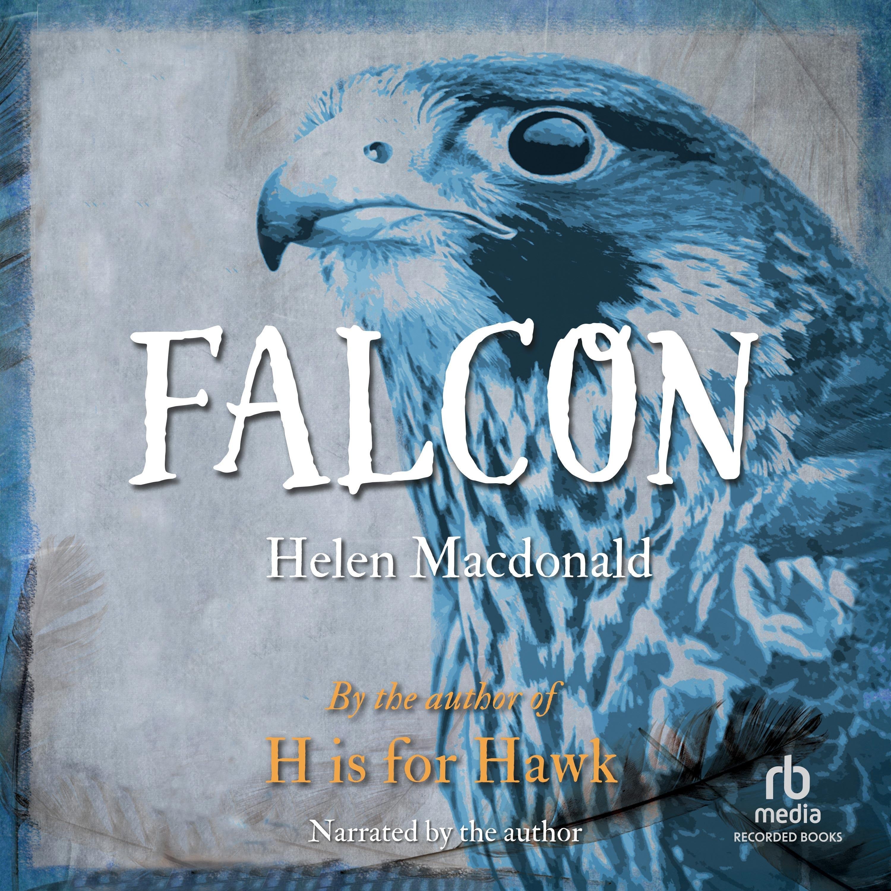 Falcon