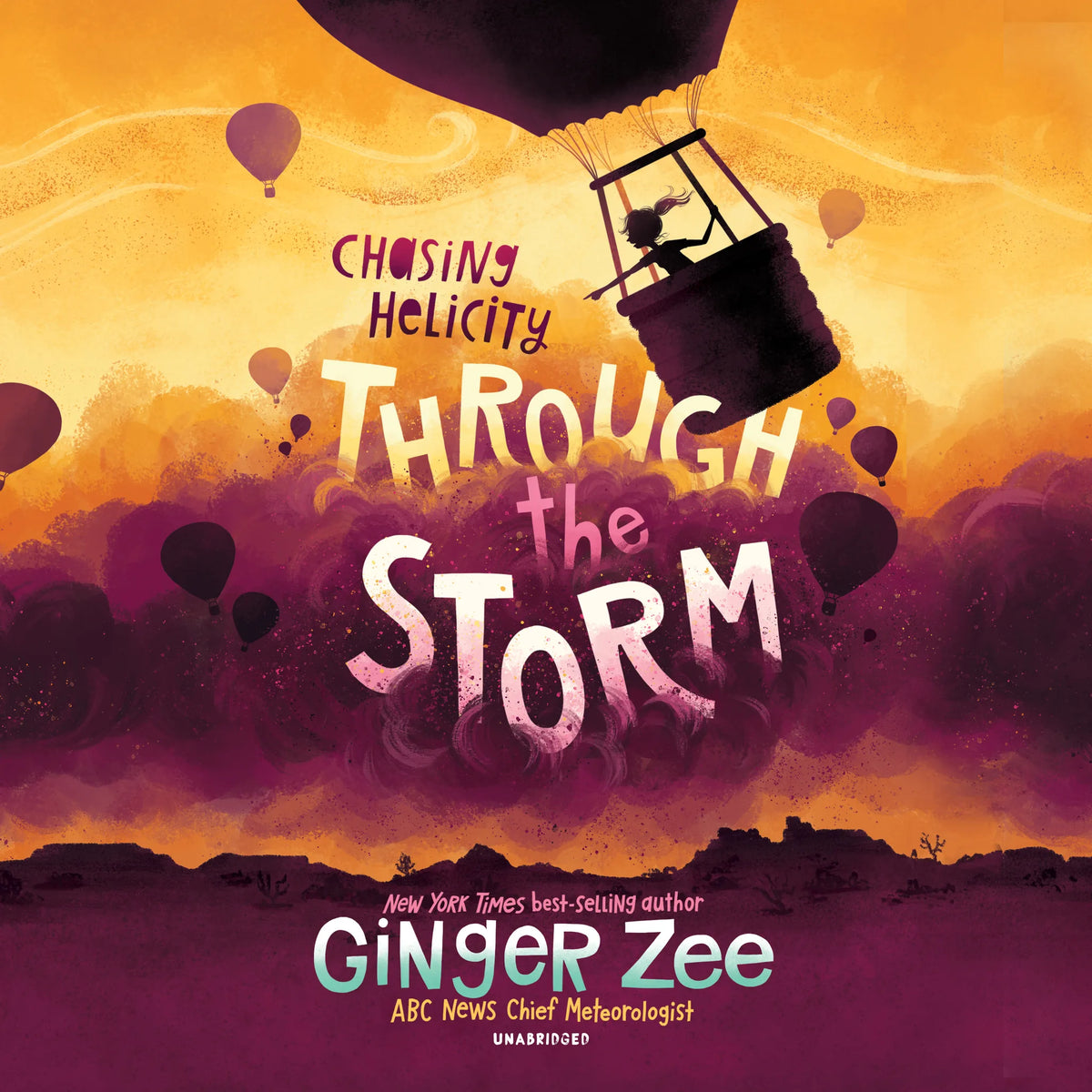 Chasing Helicity: Through the Storm