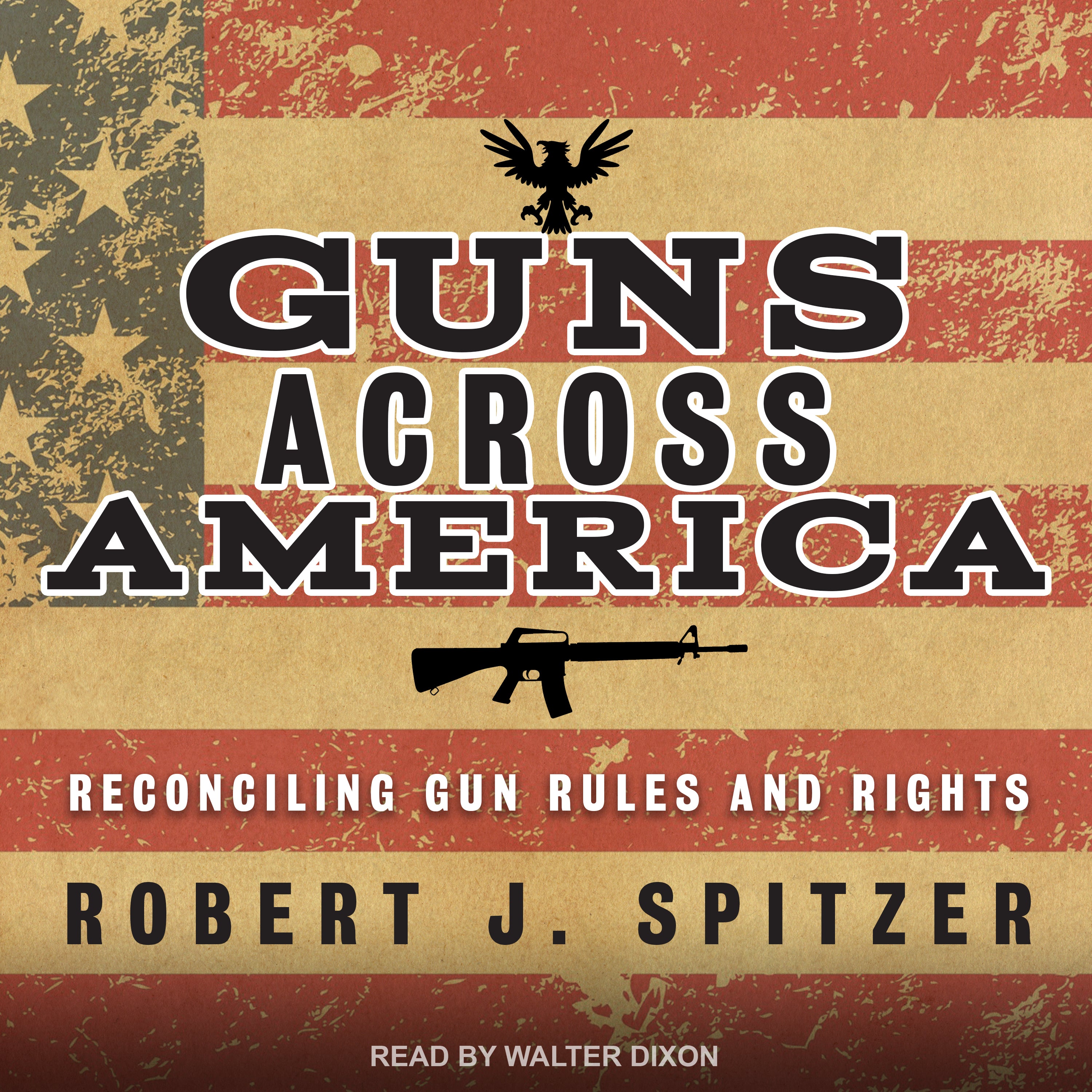 Guns across America