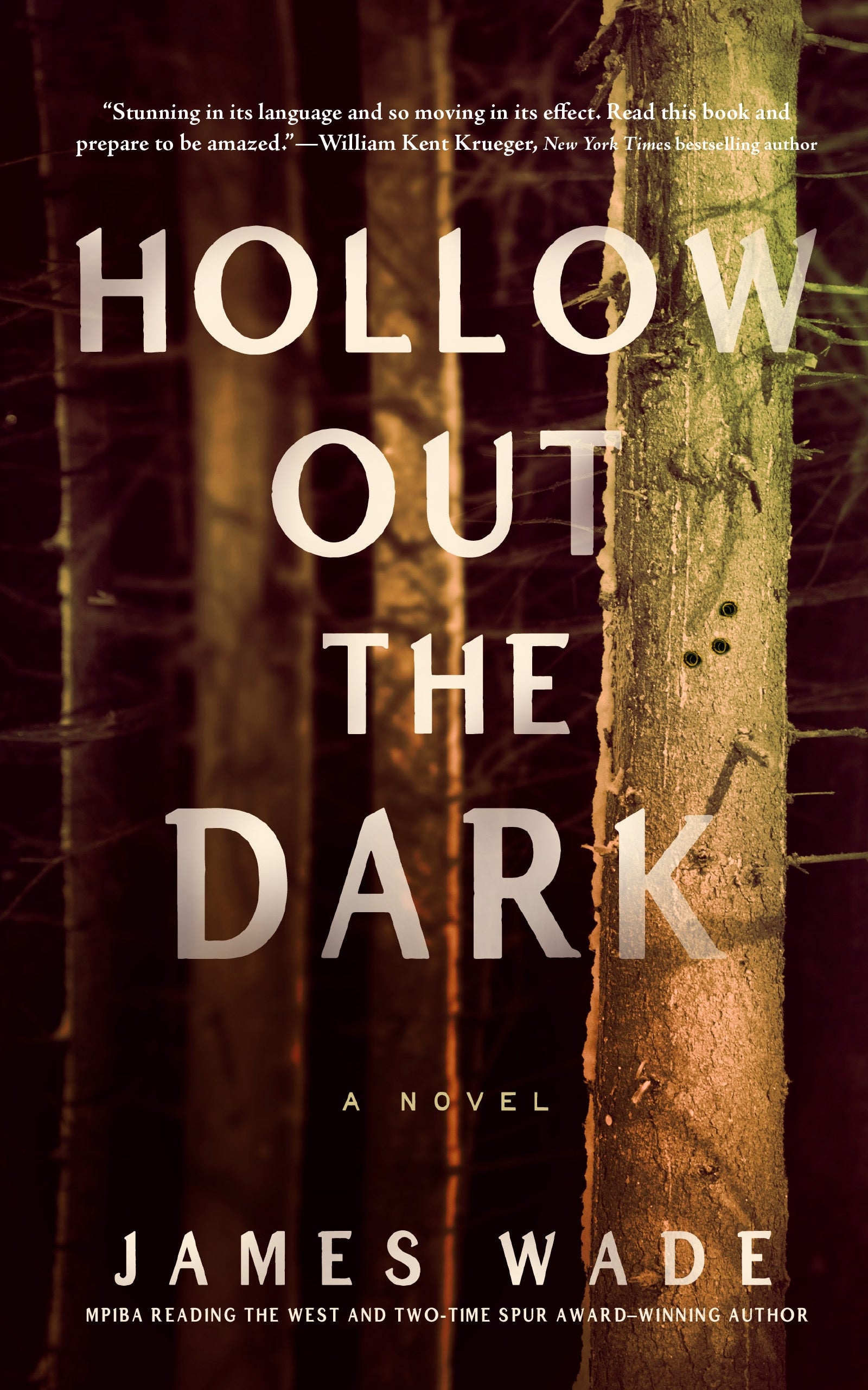 Hollow Out the Dark