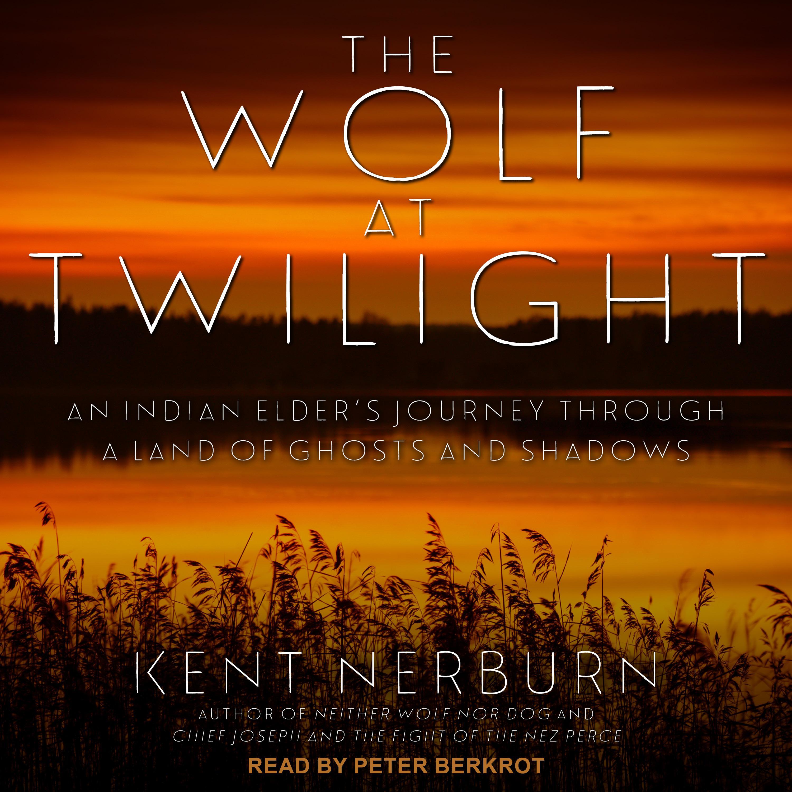 The Wolf at Twilight