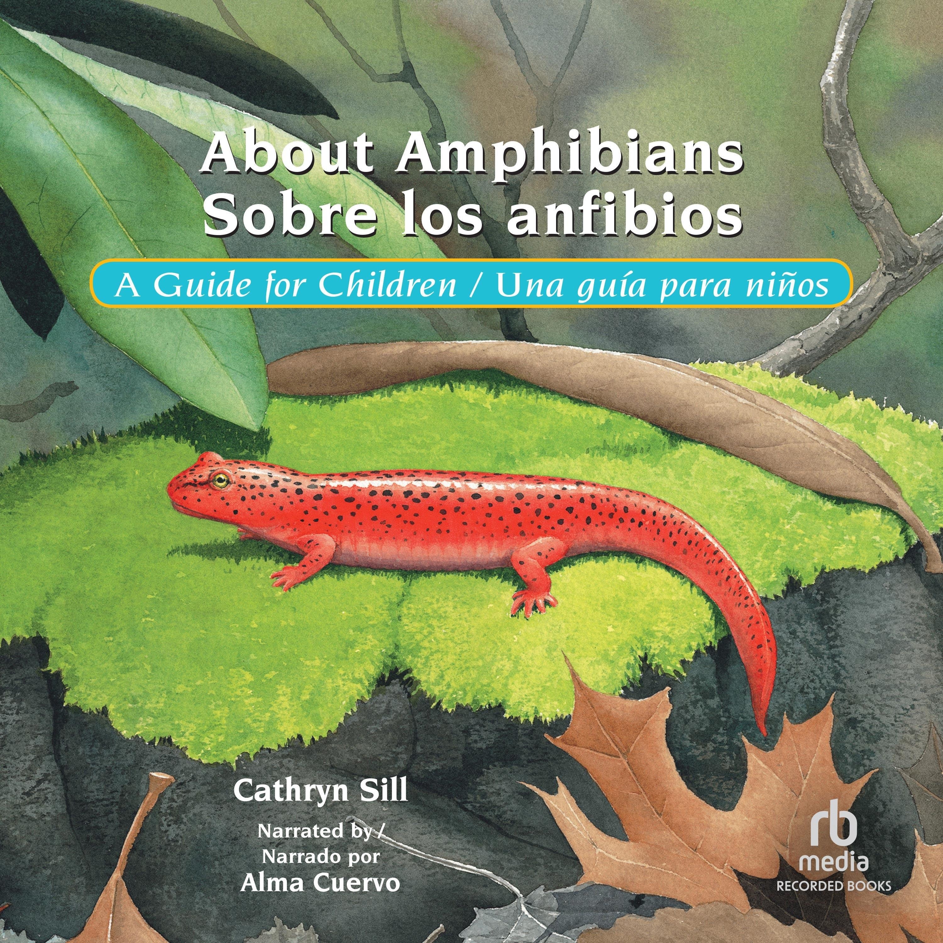 About Amphibians/Sobre Los Anfibios