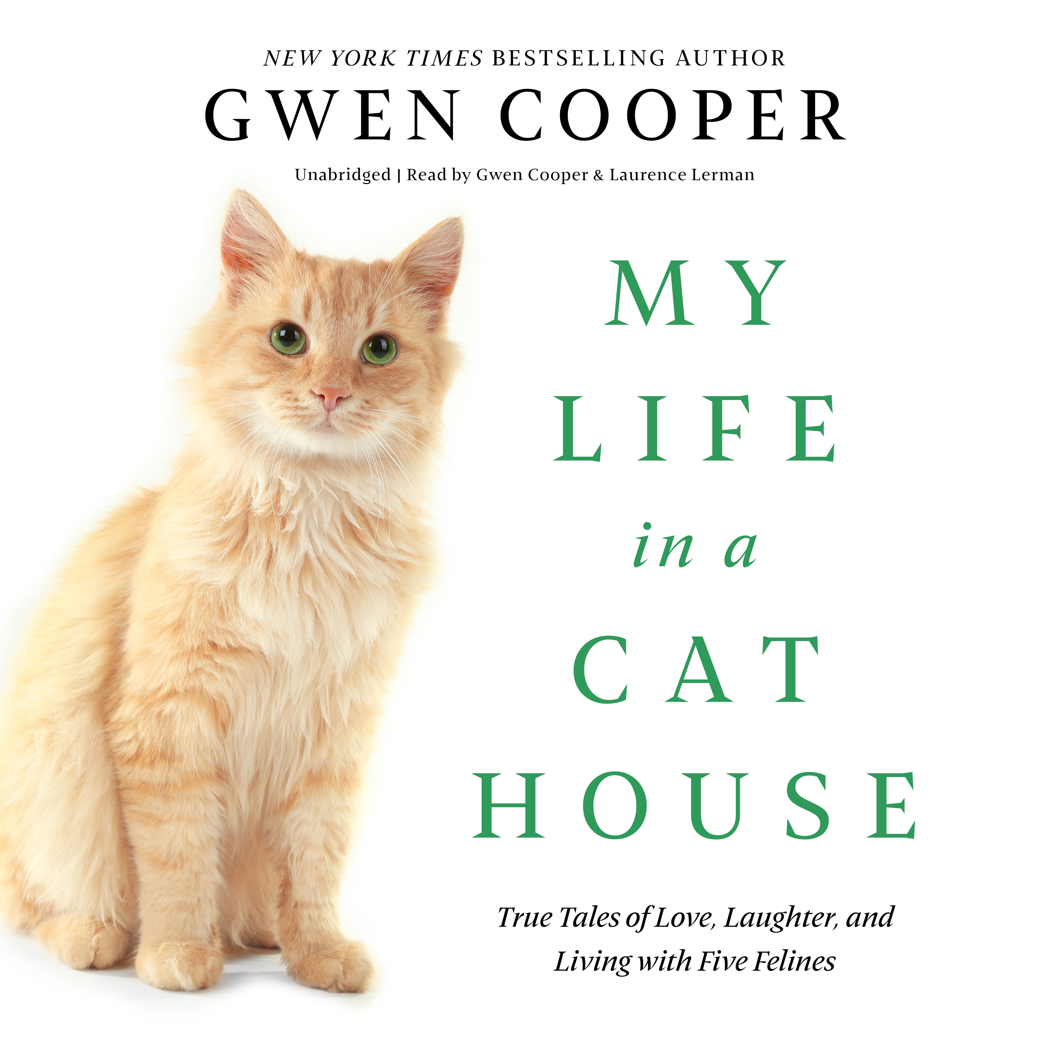 My Life in a Cat House