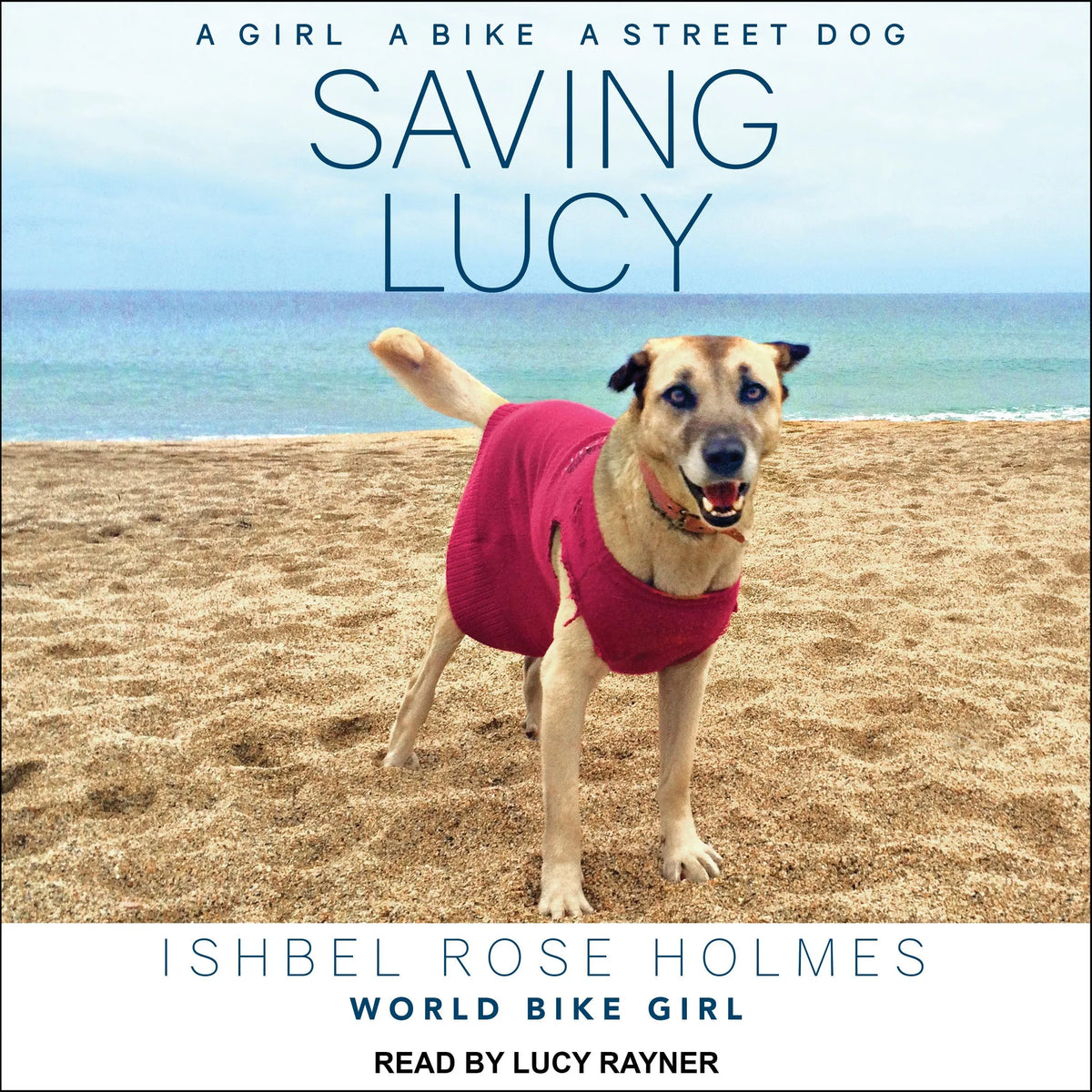 Saving Lucy