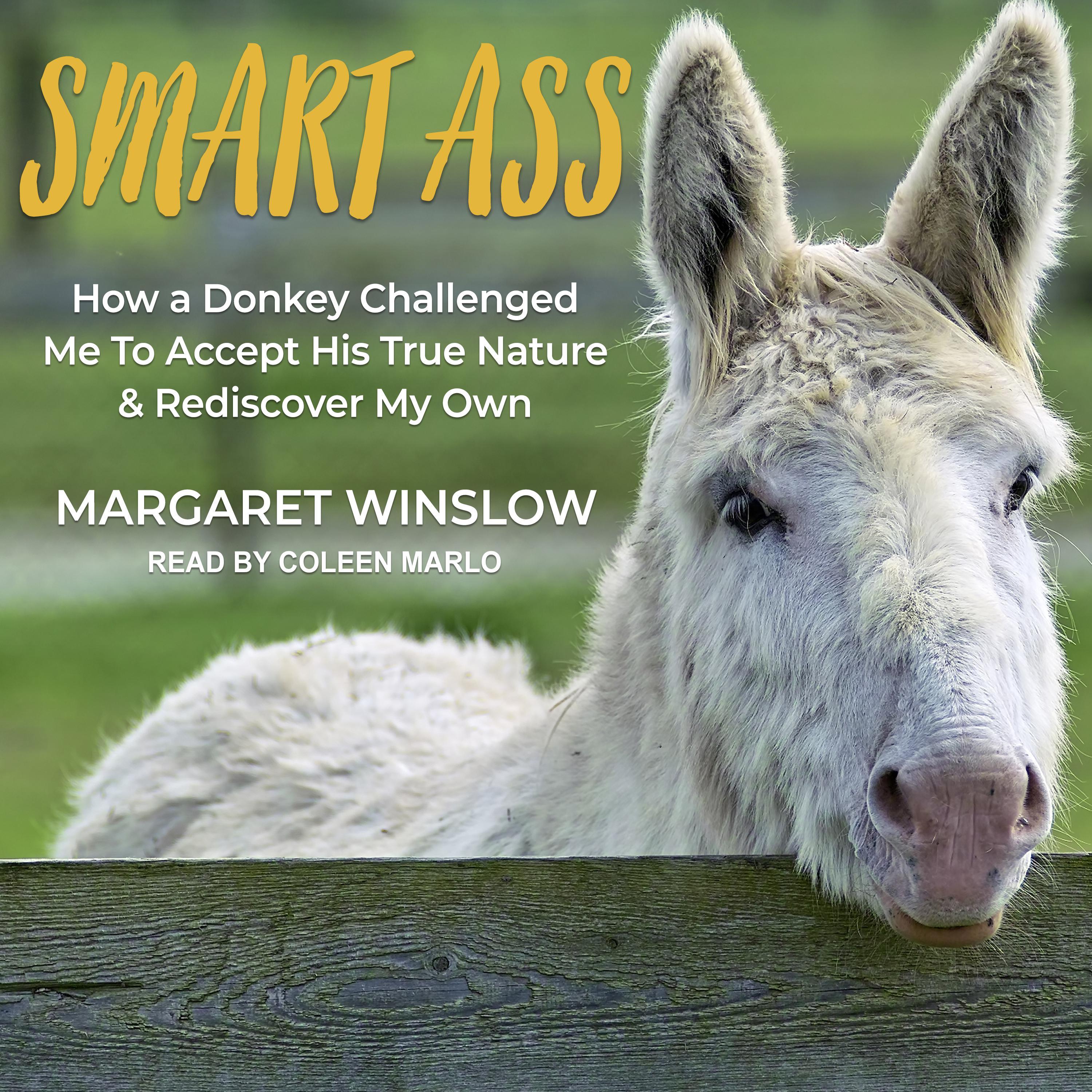 Smart Ass
