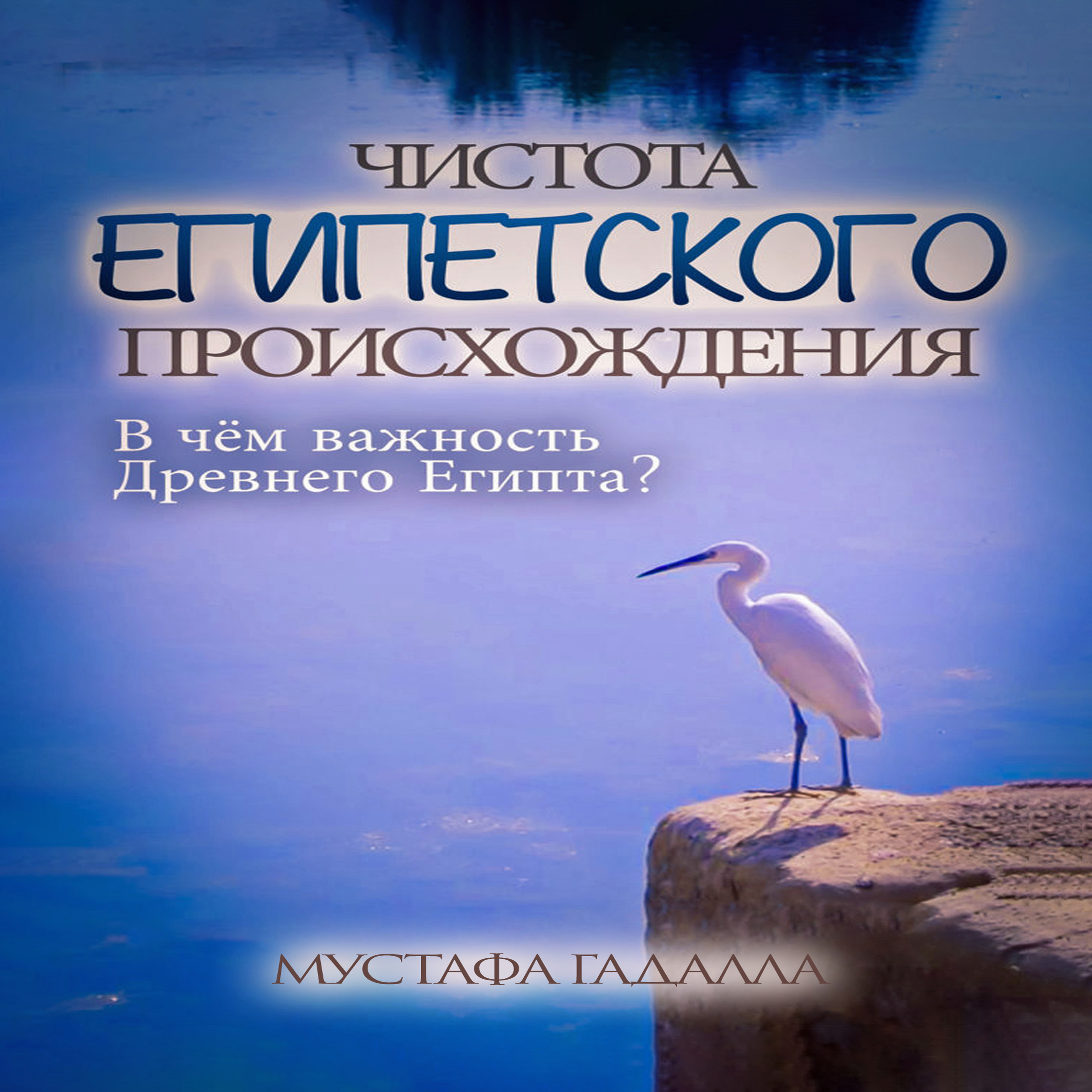 Чистота египетского происхождения