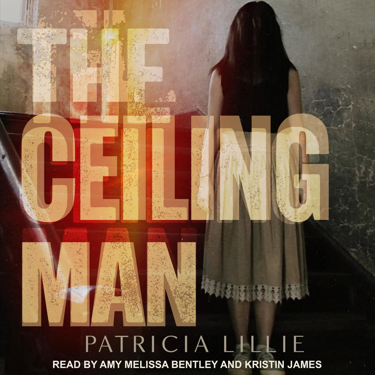 The Ceiling Man