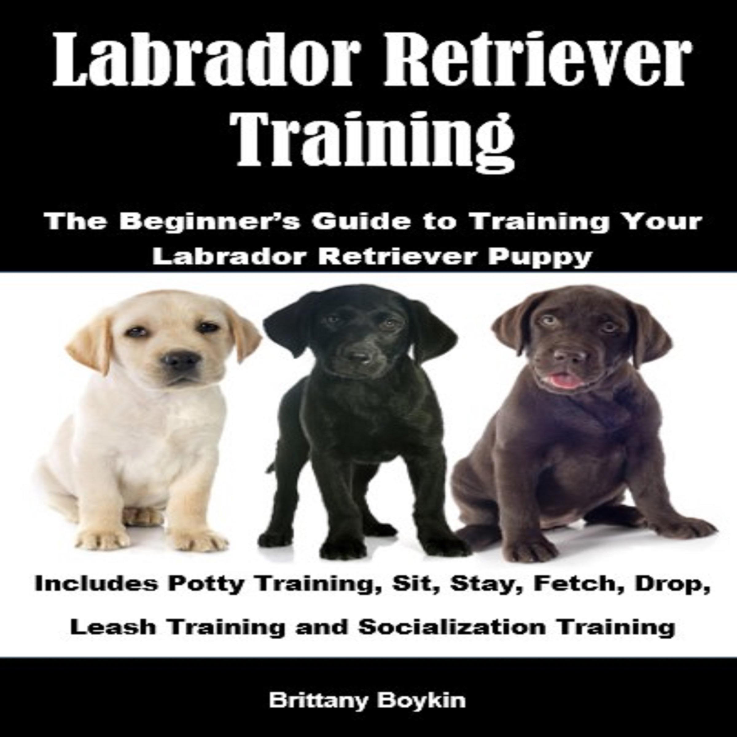 Labrador Retriever Training: The Beginner's Guide to Training Your Labrador Retriever Puppy