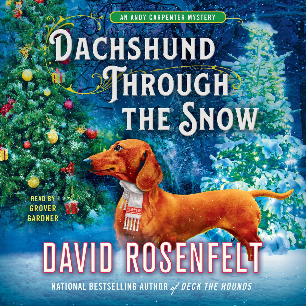 Dachshund through the Snow