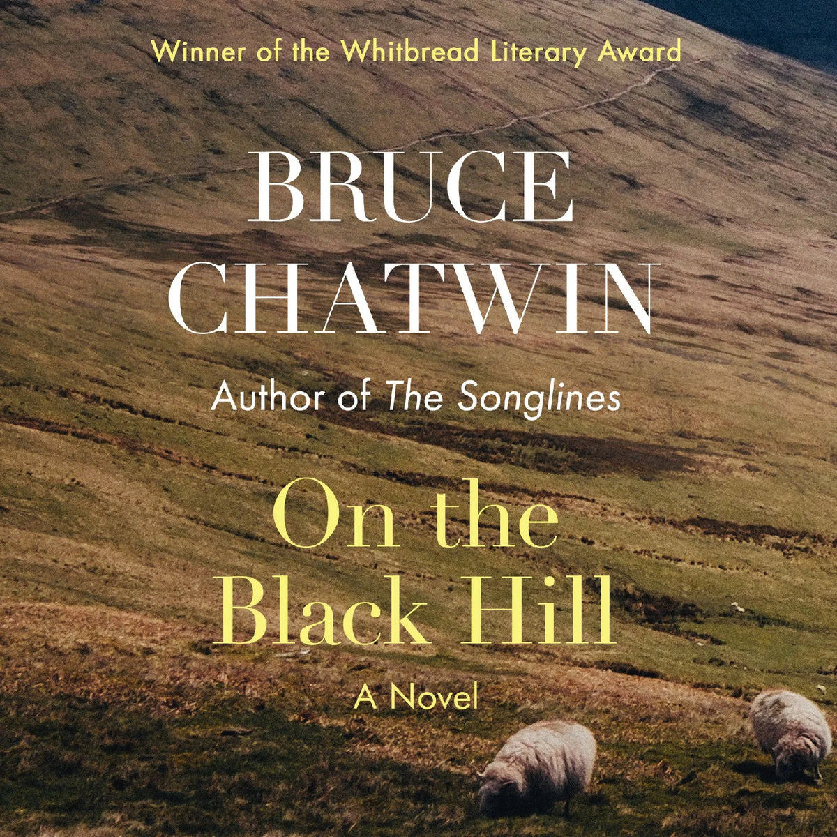 On the Black Hill