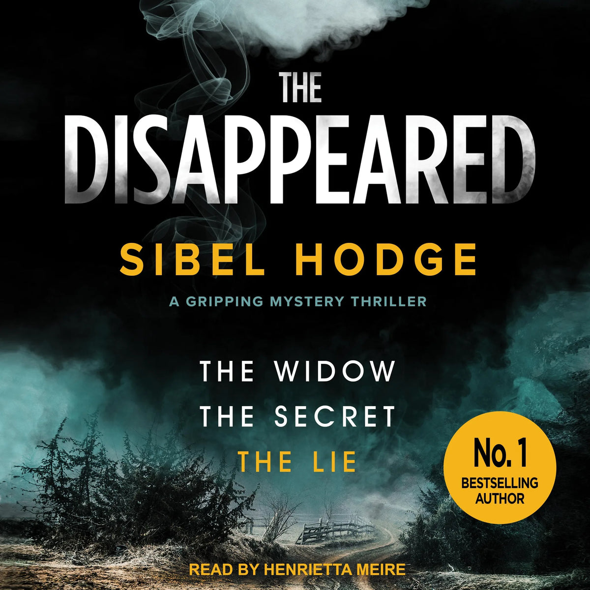 The Disappeared