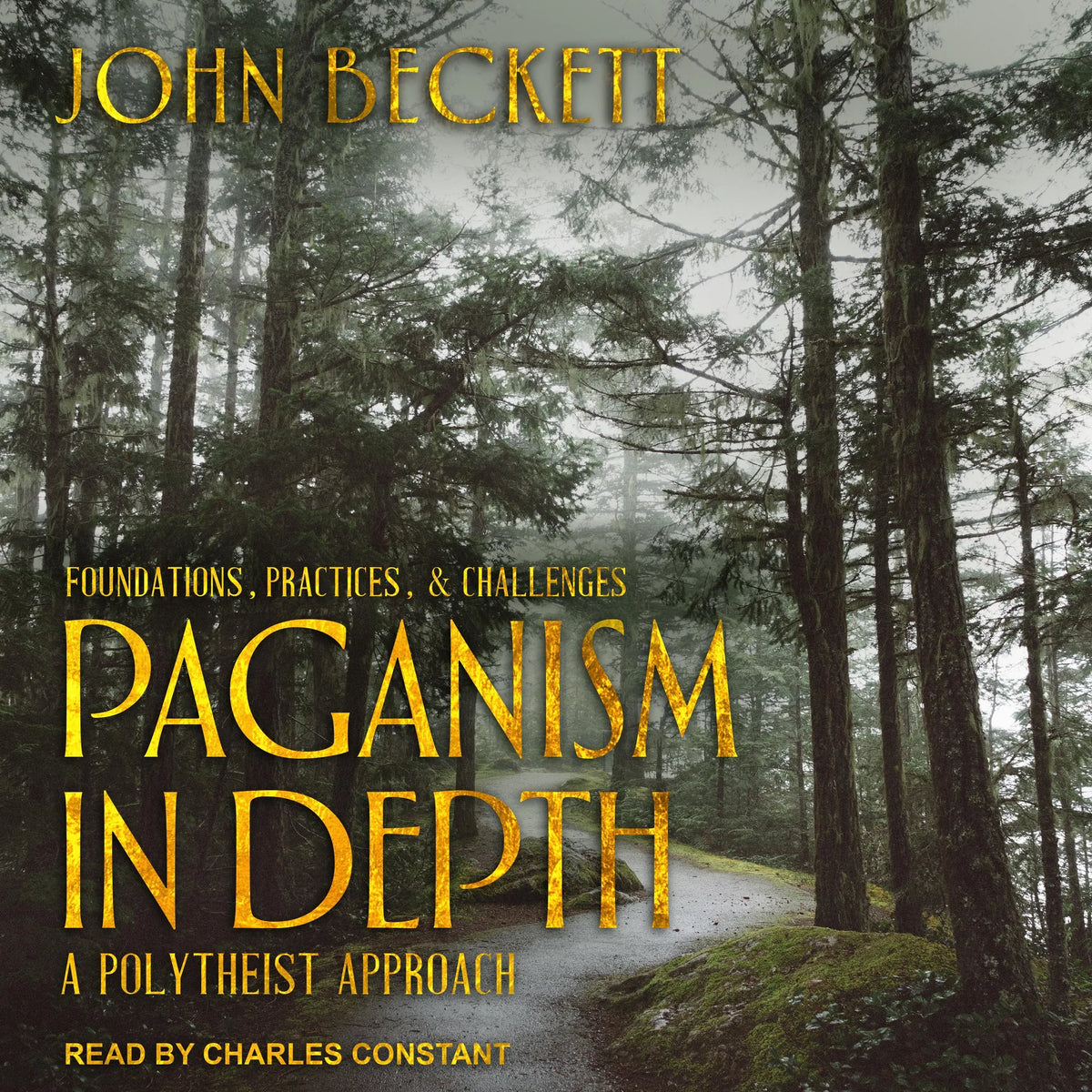 Paganism In Depth