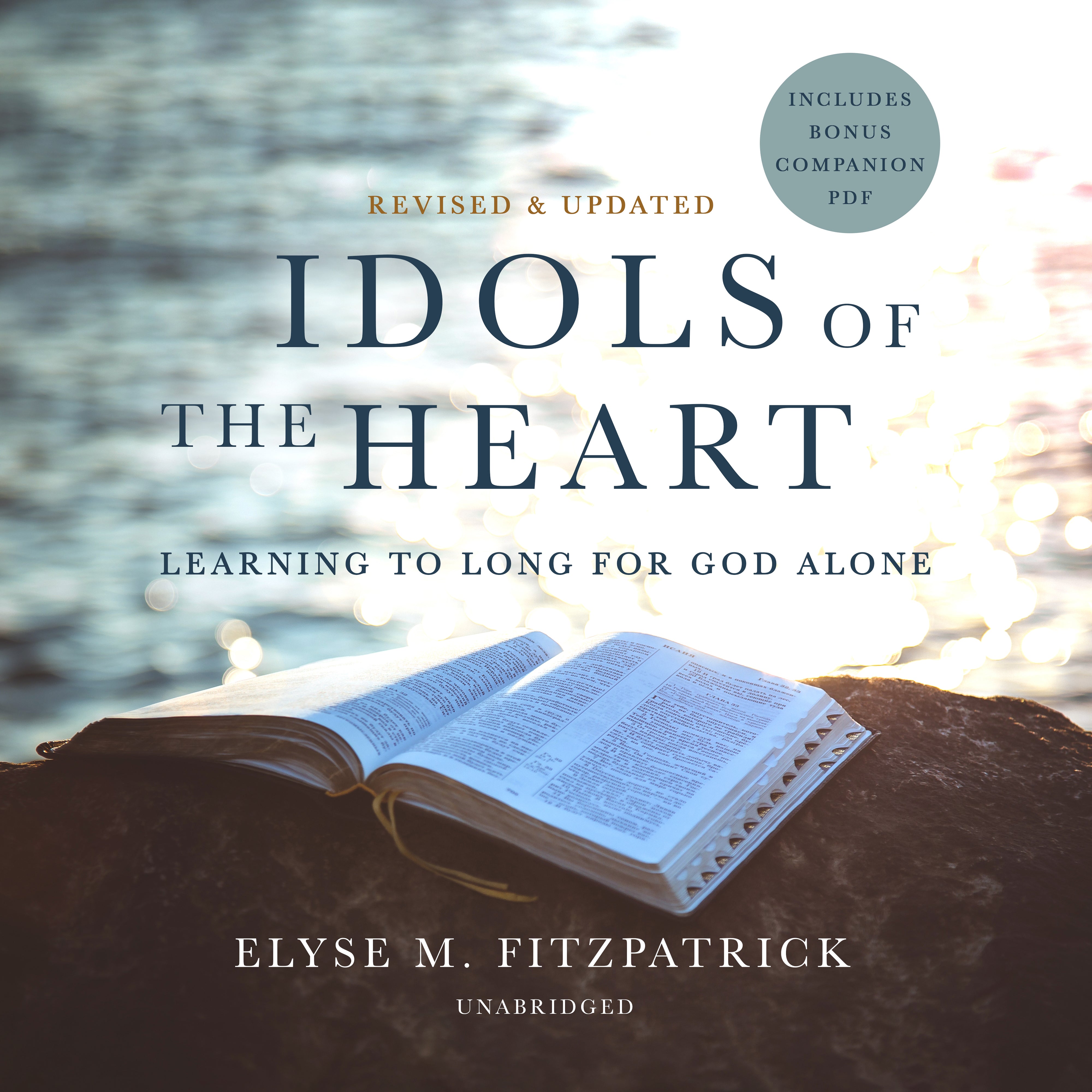 Idols of the Heart, Revised and Updated