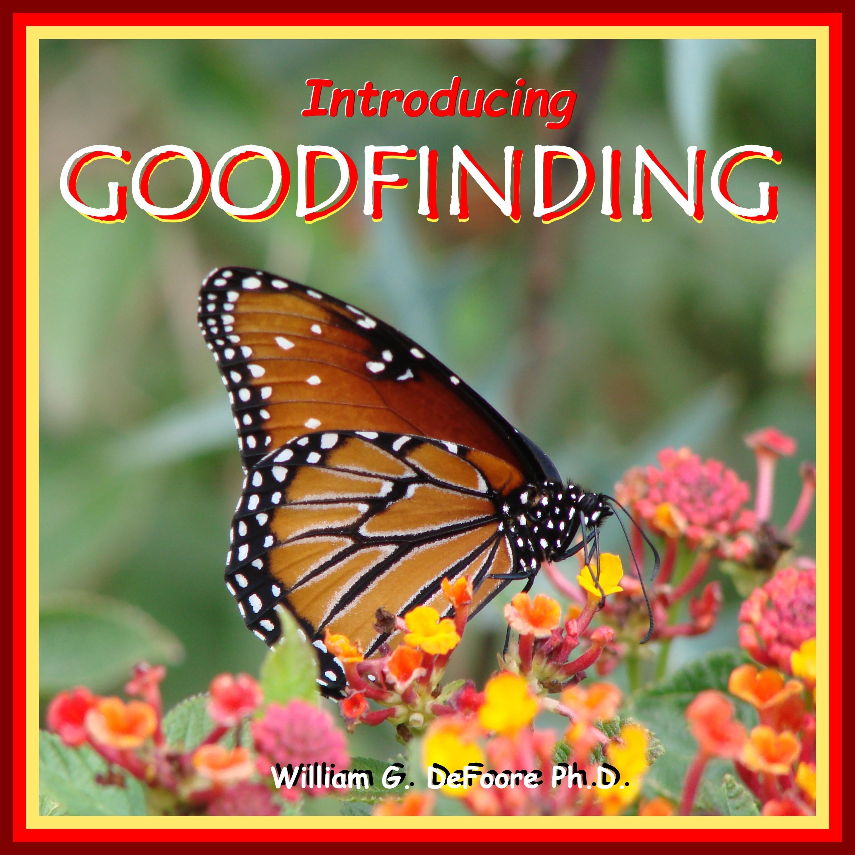 Introducing Goodfinding