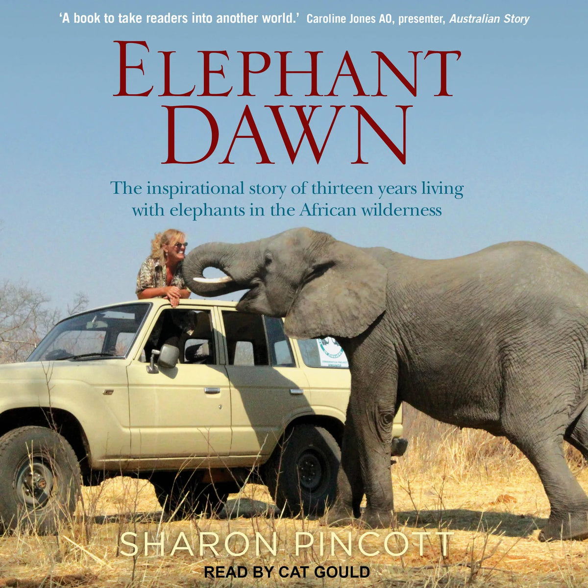Elephant Dawn