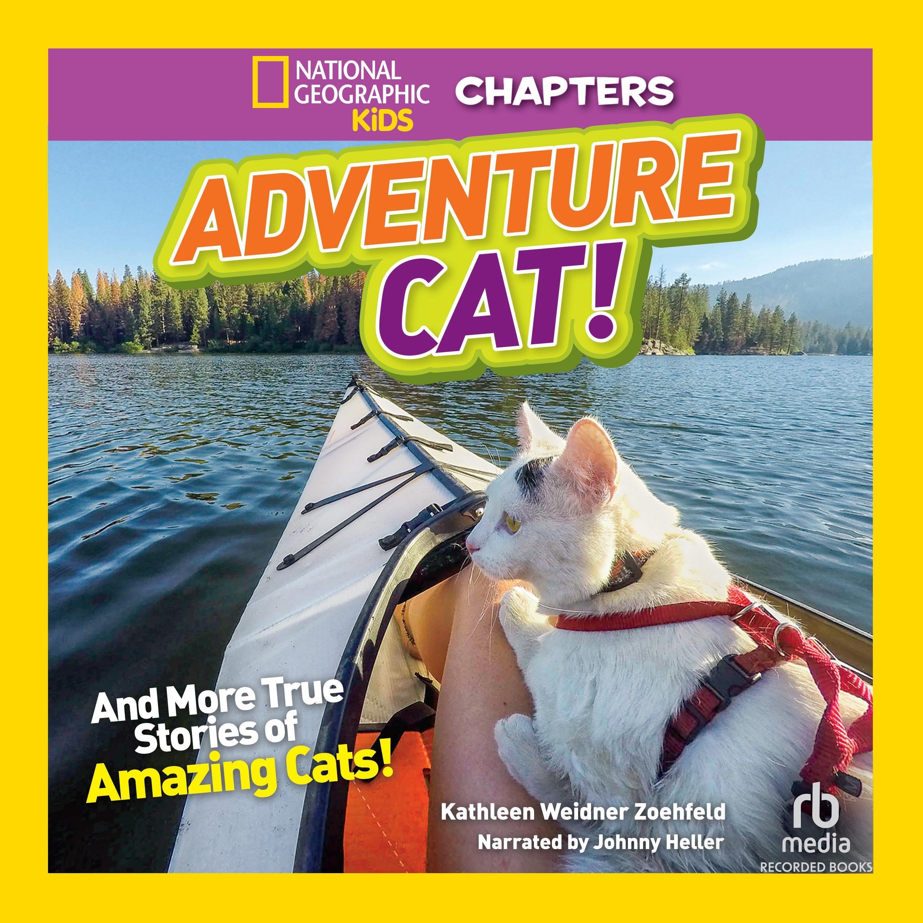 Adventure Cat!