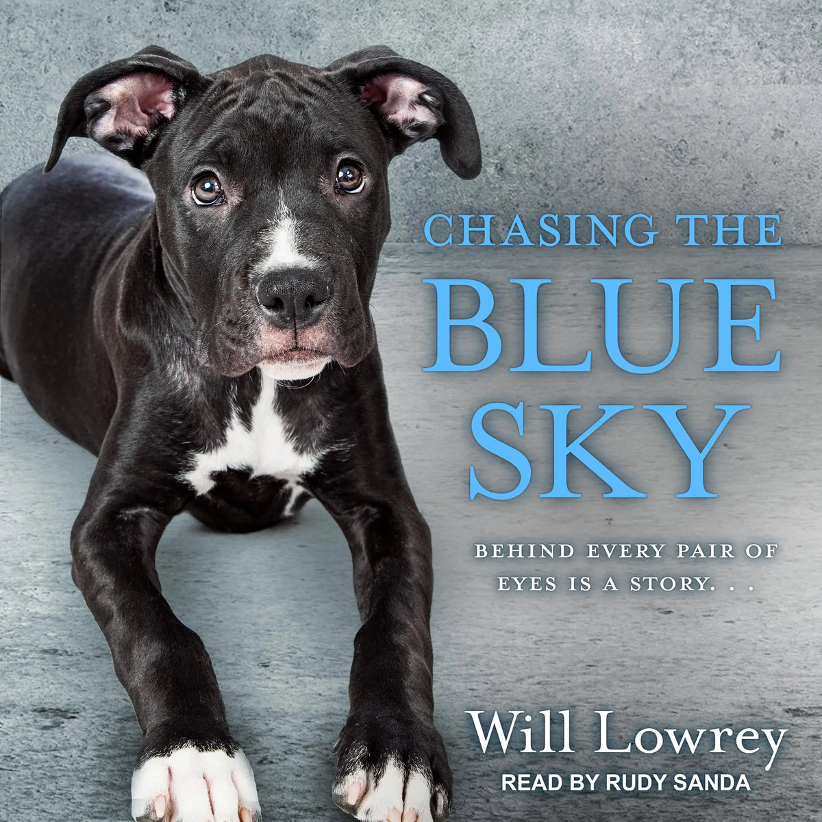 Chasing the Blue Sky