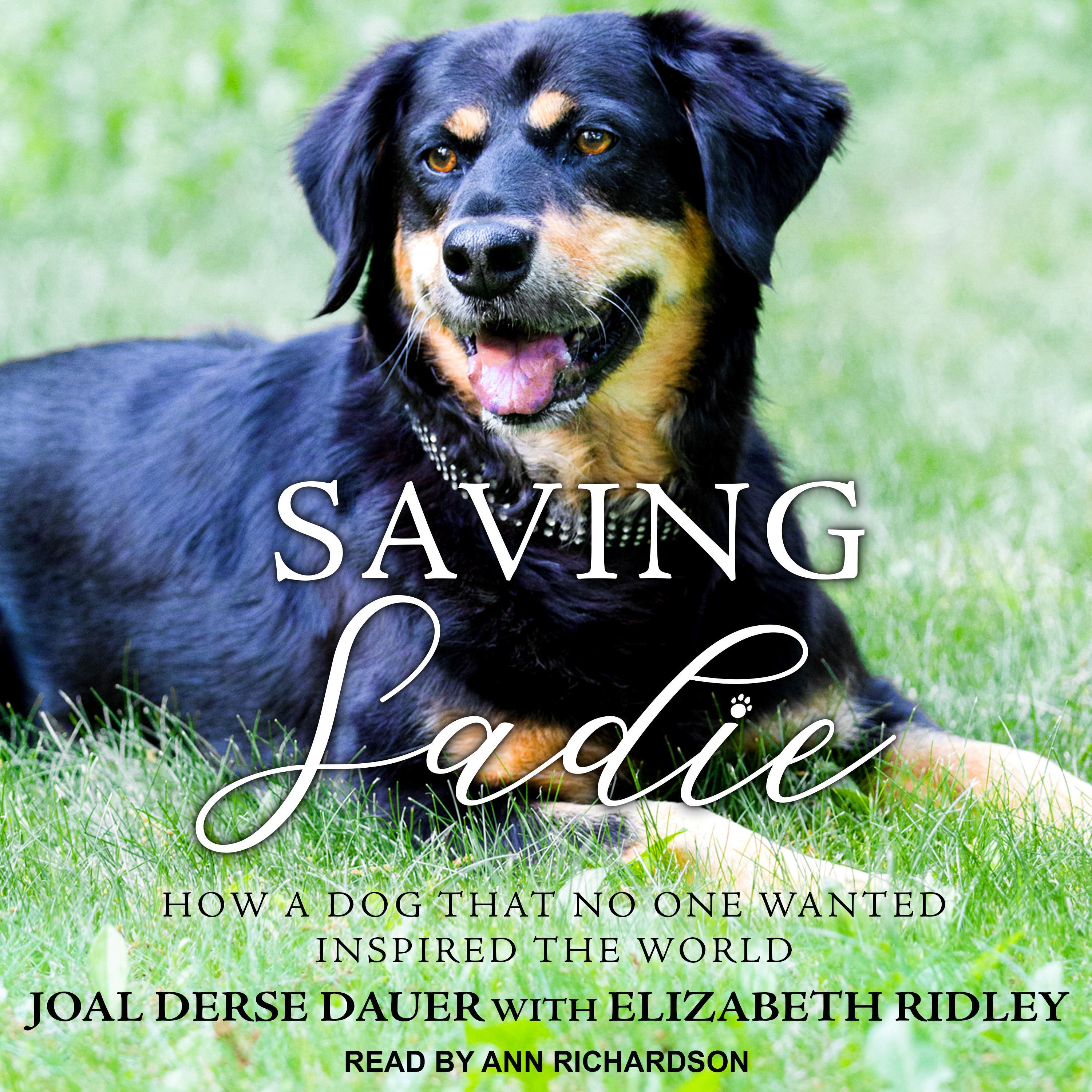 Saving Sadie