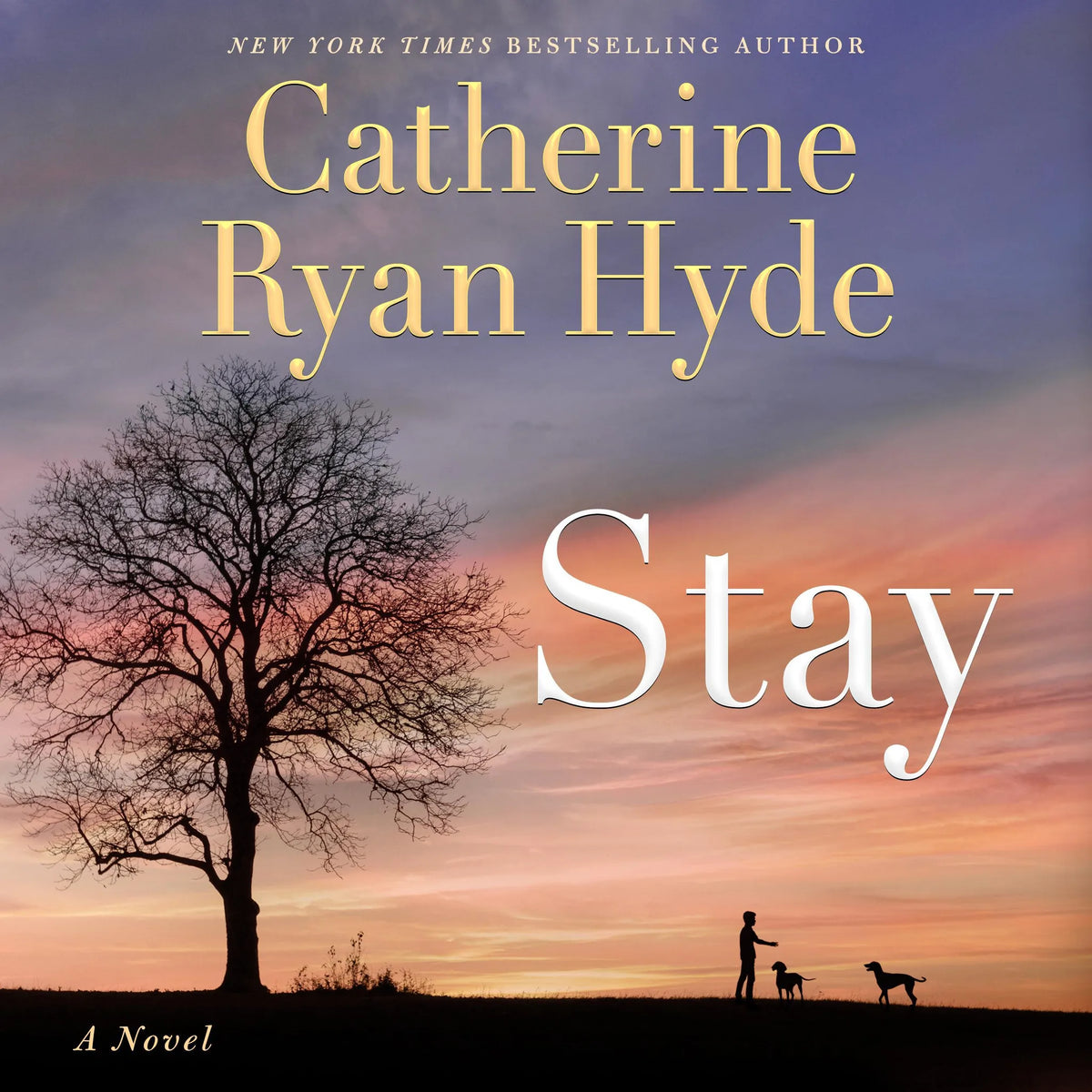 Stay
