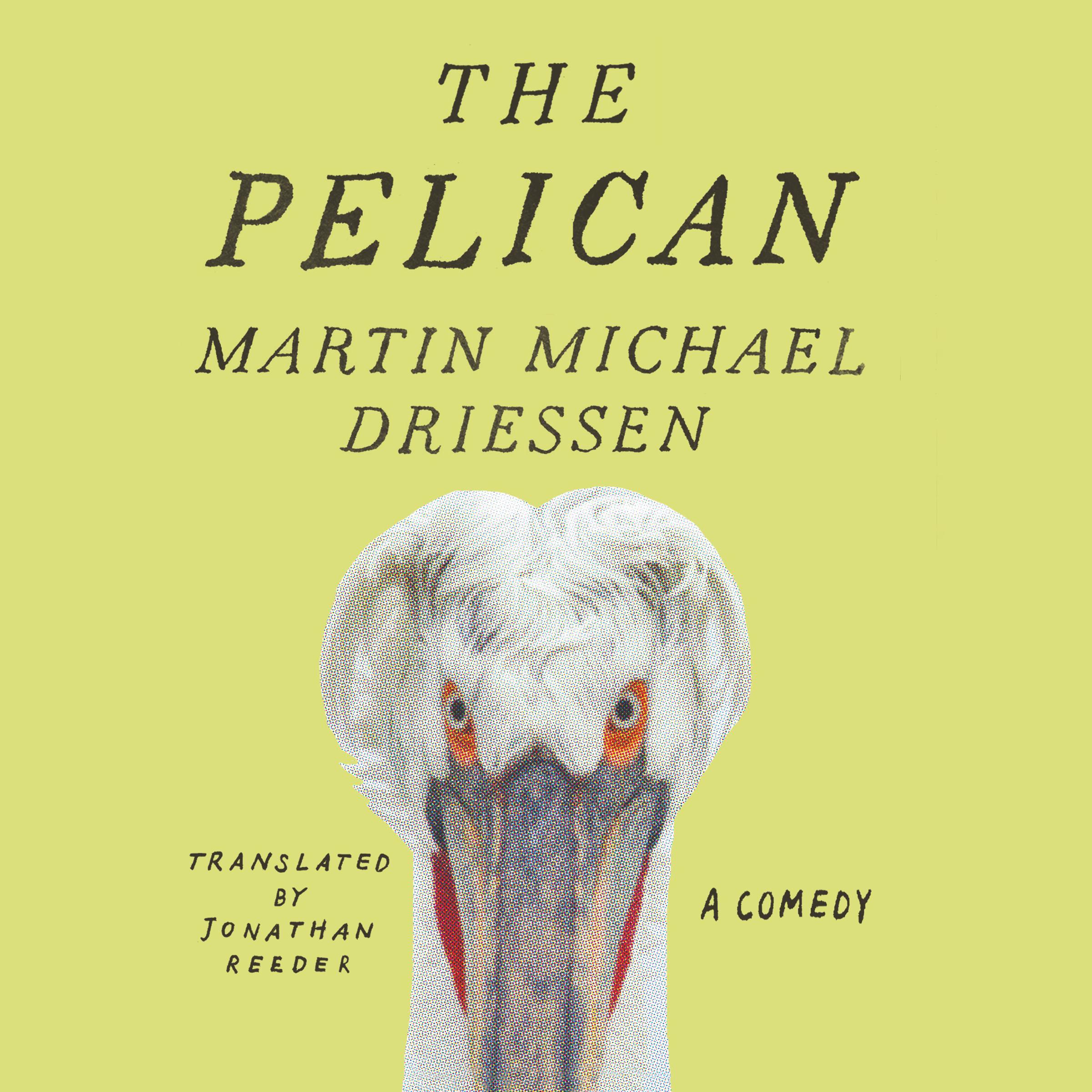 The Pelican
