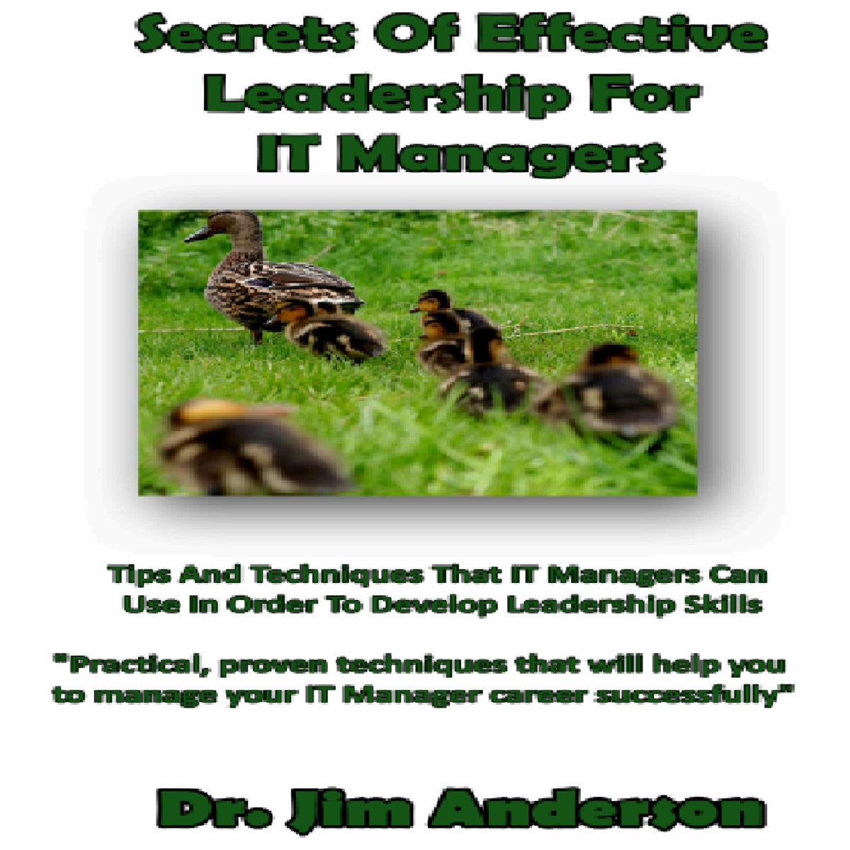 Secrets of Effective Leadership for IT Managers