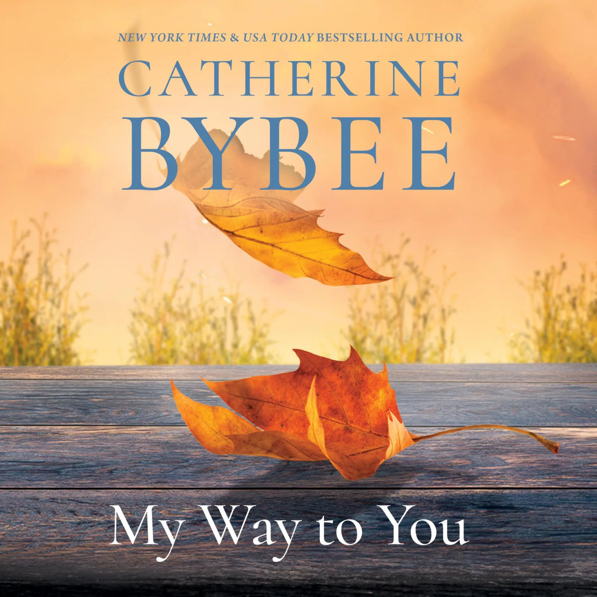 My Way to You